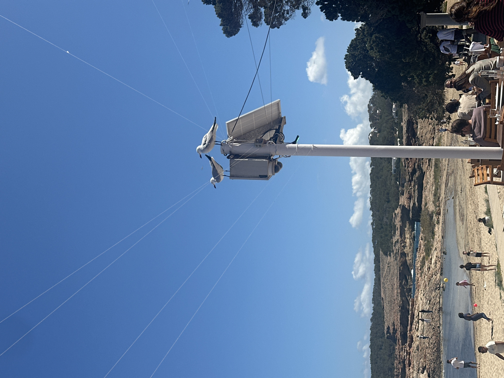 The image captures a scene in Sant Josep de sa Talaia, Spain. A white pole stands prominently in the foreground, adorned with solar panels and camera equipment near its top. Two seagulls are perched on the equipment. Numerous thin white lines extend upwards from the pole against a clear blue sky. The background reveals a beach setting with people scattered along the shoreline and some in the water. On the right side of the image, diners are seated at tables near the pole. Vegetation and rocky cliffs line the background, adding to the coastal landscape.