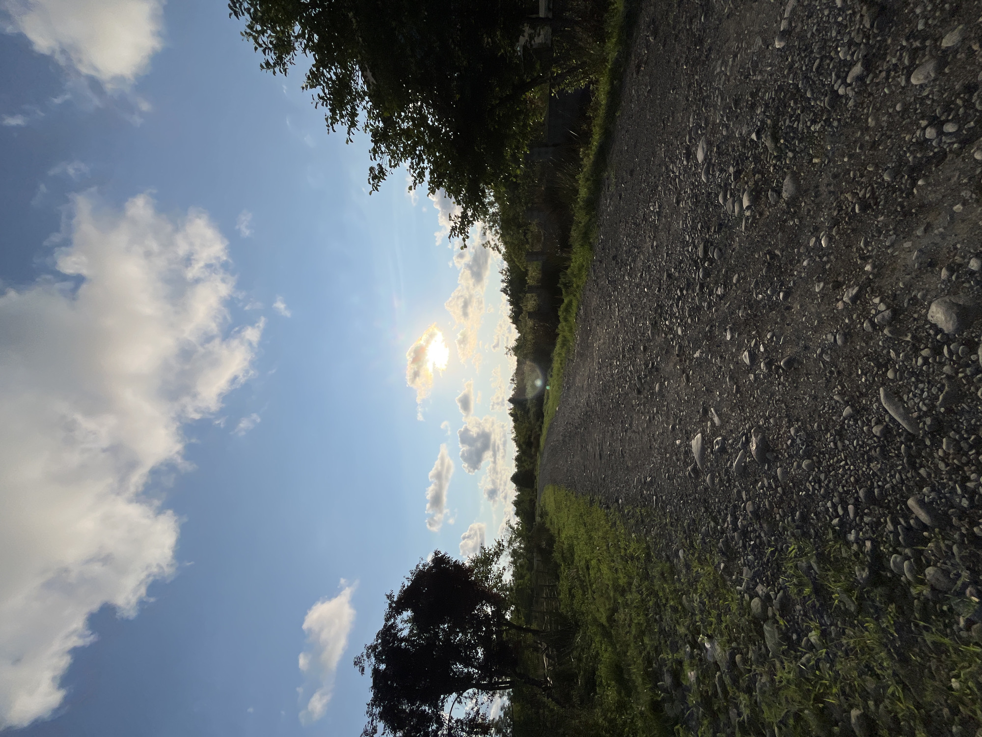 The image depicts a gravel road in a rural setting, likely in Ureki, Georgia, given the context. The road stretches into the distance, bordered by grassy verges and vegetation. On the left, a silhouetted tree stands prominently, with a rustic fence behind it. On the right, another tree is visible, its foliage dark against the bright sky. The sky is a vibrant blue, dotted with scattered white clouds. The sun is shining, casting a warm glow and creating lens flare, suggesting it is either sunrise or sunset. The overall scene evokes a sense of peaceful isolation and natural beauty.