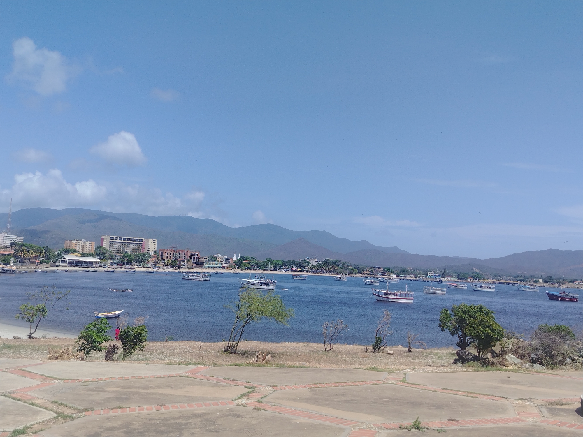 The image depicts a wide view of Juan Griego, Venezuela, featuring a bay filled with numerous boats. The foreground shows a paved area with a distinctive patterned design, bordered by dry grass and some sparse vegetation. A few trees are scattered along the shoreline.
In the middle ground, the deep blue water of the bay is dotted with a variety of boats. Some appear to be larger passenger vessels, while others are smaller fishing boats or skiffs. Several of these boats are moored, while others seem to be in motion.
The background reveals the coastal landscape of Juan Griego. Buildings, including hotels and other structures, are visible along the waterfront, suggesting a populated area. Further in the distance, rolling hills or mountains form a backdrop against the clear, pale blue sky, which has a few scattered clouds. The overall impression is a scenic coastal town on a bright, sunny day.