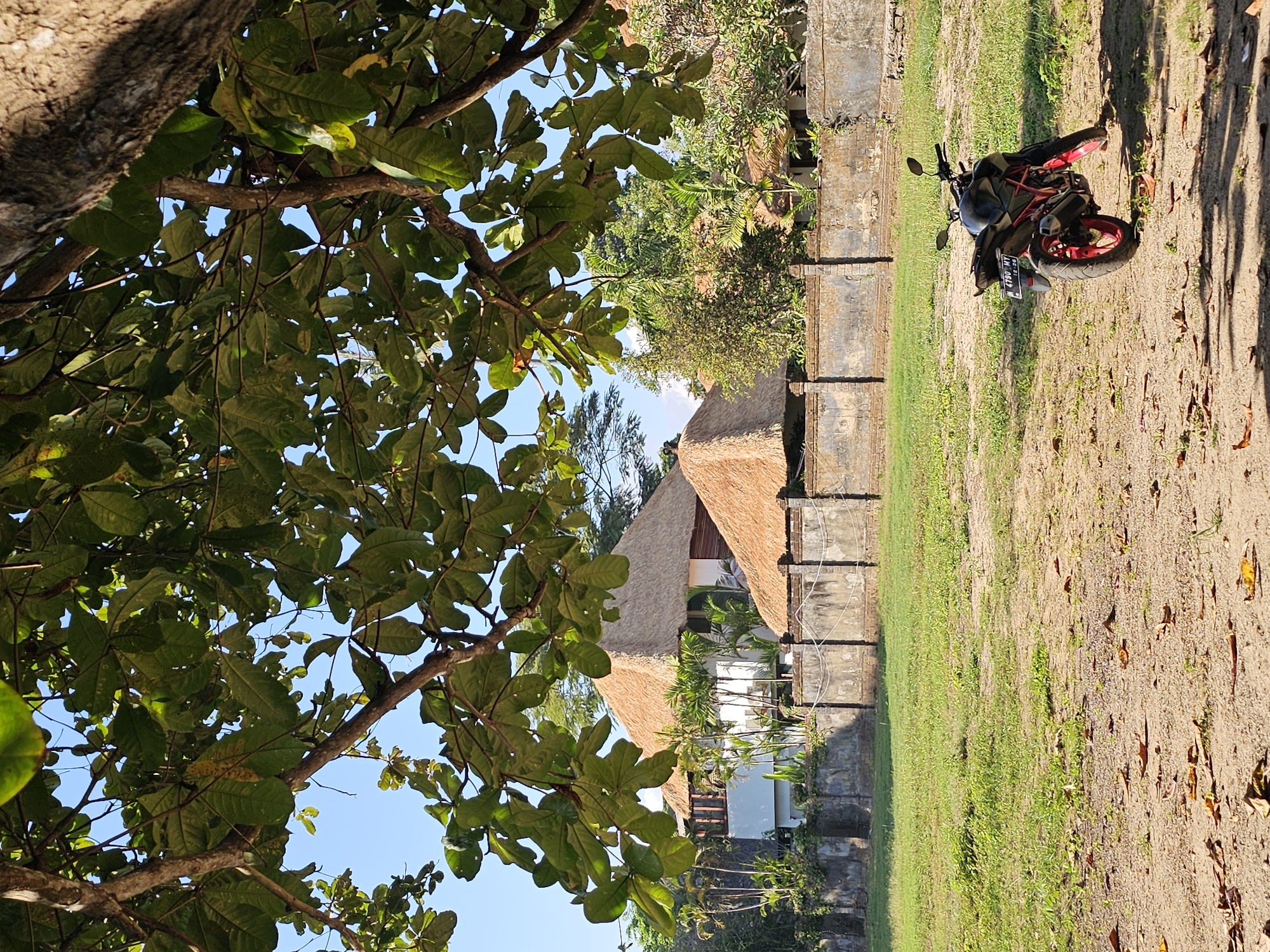 The image depicts a motorcycle parked on a dirt and grass area in front of a property with traditional Balinese architecture. The property features buildings with thatched roofs and a stone wall with decorative pillars. Lush green trees with large leaves provide shade over the scene. The sky is clear and blue. The motorcycle is black with red accents on its wheels and is facing towards the right of the frame. The license plate is visible and reads "B 4790 MY". The overall environment suggests a warm, tropical climate. While the exact location within Denpasar, Indonesia, is not specified, the architectural style and vegetation are characteristic of the region. There are no people visible in the image.