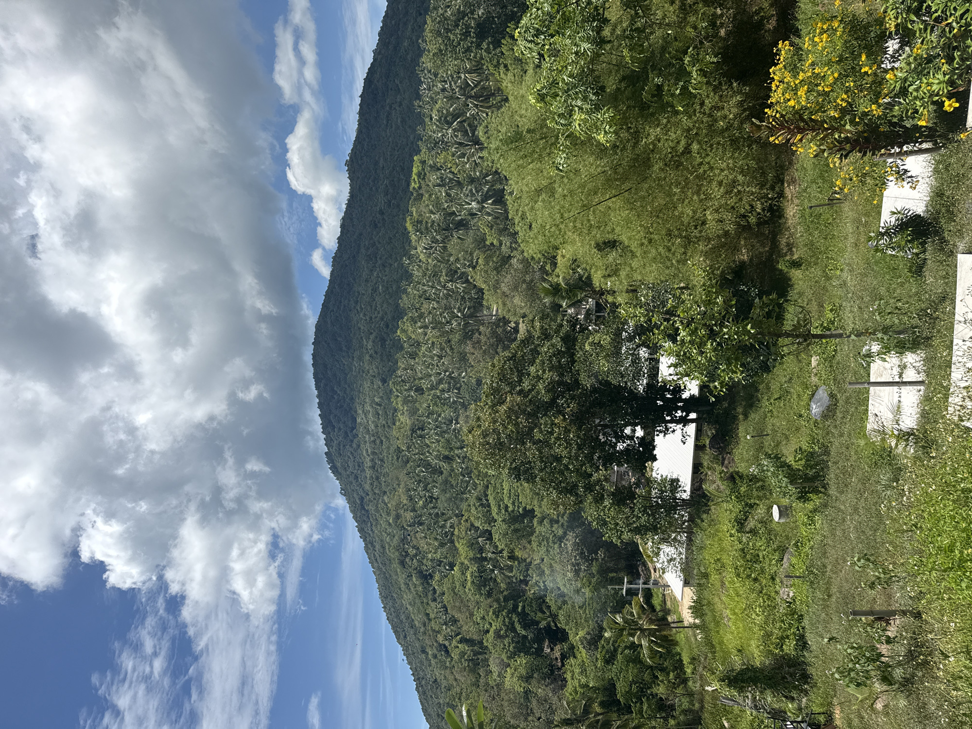 The image shows a lush, tropical landscape with a dominant, heavily forested mountain in the background under a partly cloudy blue sky. In the mid-ground, a cluster of buildings with white roofs is visible amidst dense greenery, including palm trees and bamboo. The foreground is characterized by a grassy area with scattered vegetation, some small trees, and a few white concrete structures and fence posts. The scene depicts a rural or semi-rural environment, potentially a residential area or agricultural land, in a tropical climate. The location is identified as Ban Tai Subdistrict, Thailand.