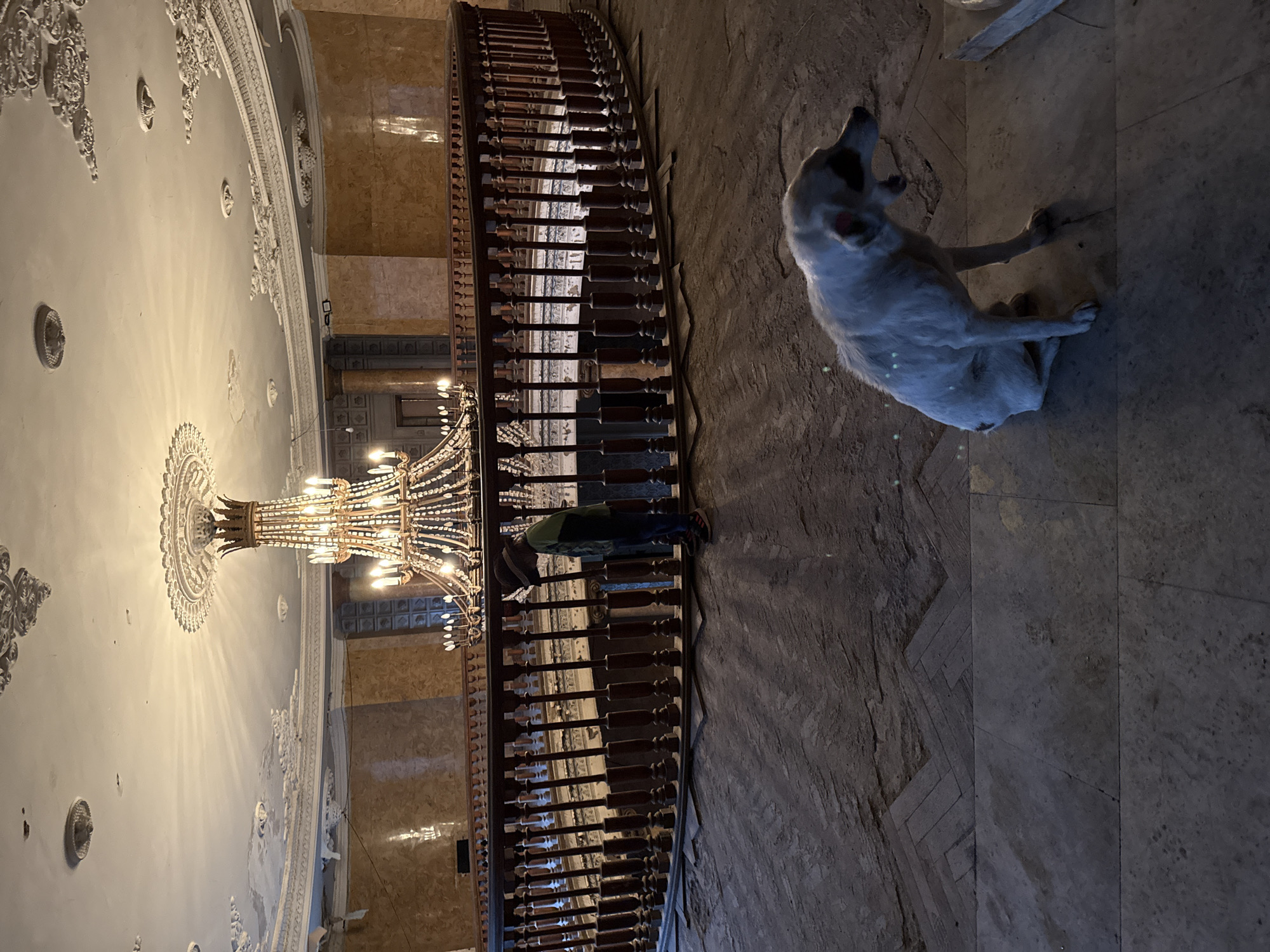 A vertically-oriented medium shot shows a portion of an interior, possibly of the former sanatorium in Tskaltubo, Georgia. The photo is dominated by a grand, spiraling staircase with a dark wood railing, extending from the top to bottom of the frame. A large, ornate chandelier hangs from a decorative ceiling, illuminating the area. A person is visible on the staircase, standing near the railing, wearing a dark jacket and dark pants. A white dog is resting on the floor near the base of the staircase. The floor is made of large tiles. The walls are a light, possibly off-white color, with decorative molding and panels. The lighting in the scene is a mix of natural and artificial light, creating a soft, diffused atmosphere.