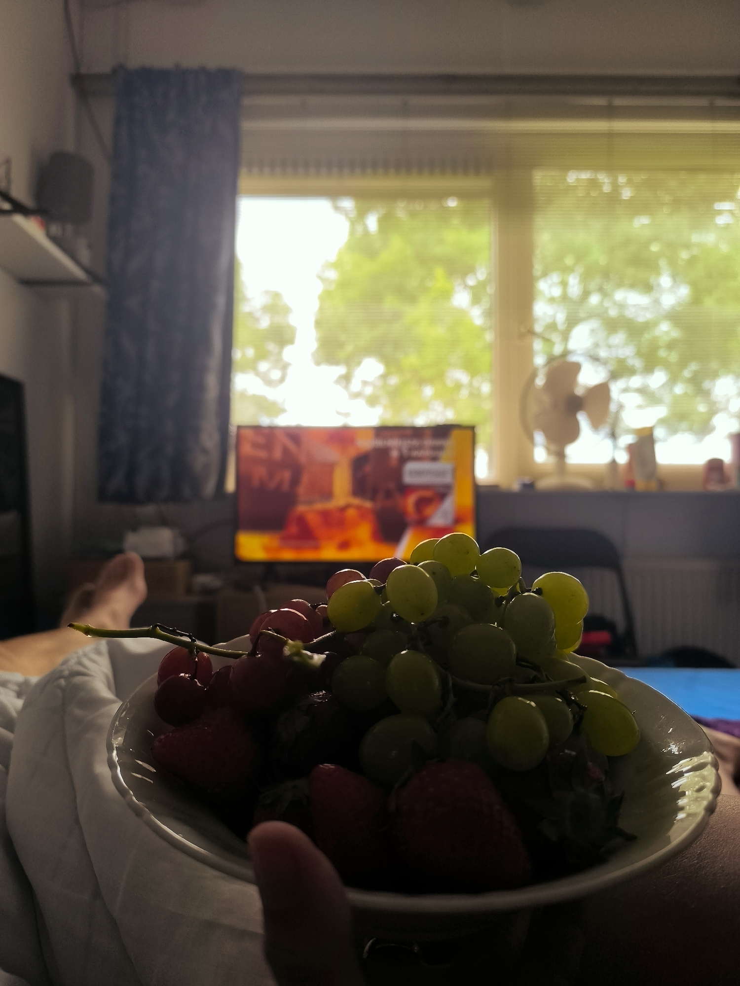 In a bedroom in Almere, Netherlands, a person lies in bed, partially covered by a white blanket. In the foreground, a person's hand holds a white bowl filled with fresh fruit, including strawberries and green and red grapes. The bowl is positioned in front of the person's face, with the fruit taking up a significant portion of the frame. In the background, a television screen displays an image, and a window shows a view of green trees and a sky. A small, white fan is visible near the window, and blinds are partially drawn. The room appears to be lit by natural light coming from the window.