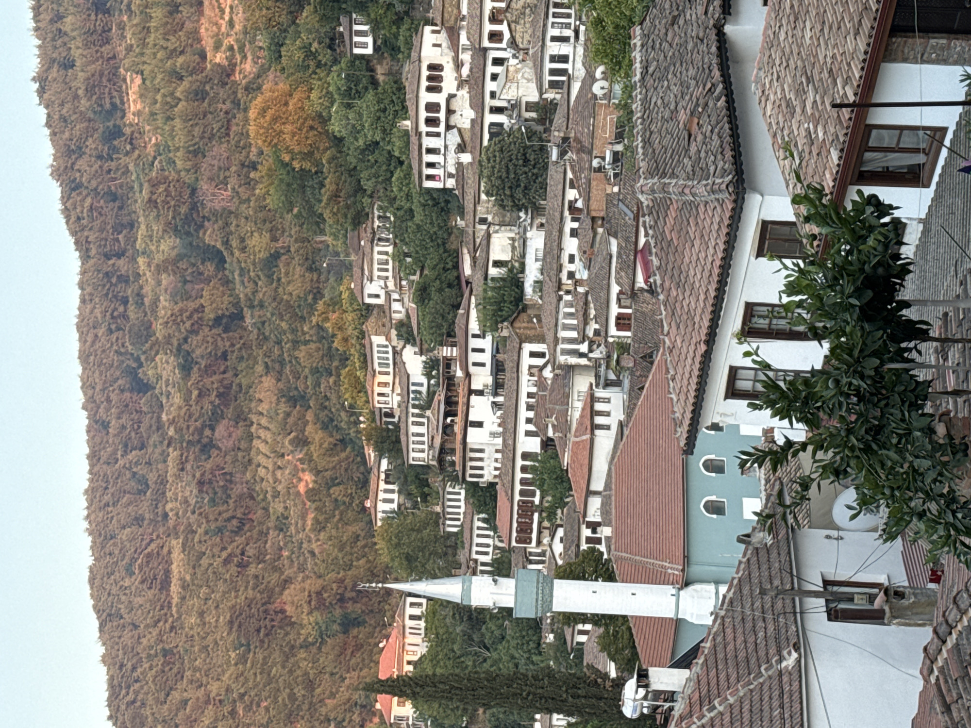 The image shows a hillside village with traditional white houses with red-tiled roofs, nestled amongst lush green trees. A tall, slender white minaret with a silver spire rises above the houses on the left side of the frame. The architecture suggests an Ottoman or Mediterranean influence. The houses are densely packed, with varying heights and styles, some featuring dark wooden shutters on their windows. In the background, a densely wooded hill slopes upwards, with the trees appearing in various shades of green and brown, indicating a temperate climate. The sky is a pale, clear blue, suggesting a daytime scene. The image is a high-angle shot, looking down upon the village from a higher elevation. The style of the buildings and the presence of a minaret strongly suggest the location is in Turkey, and given the architectural style and the density of the hillside settlement, it is likely a historic village such as Şirince, near Selçuk, Turkey. There are no people visible in the image.