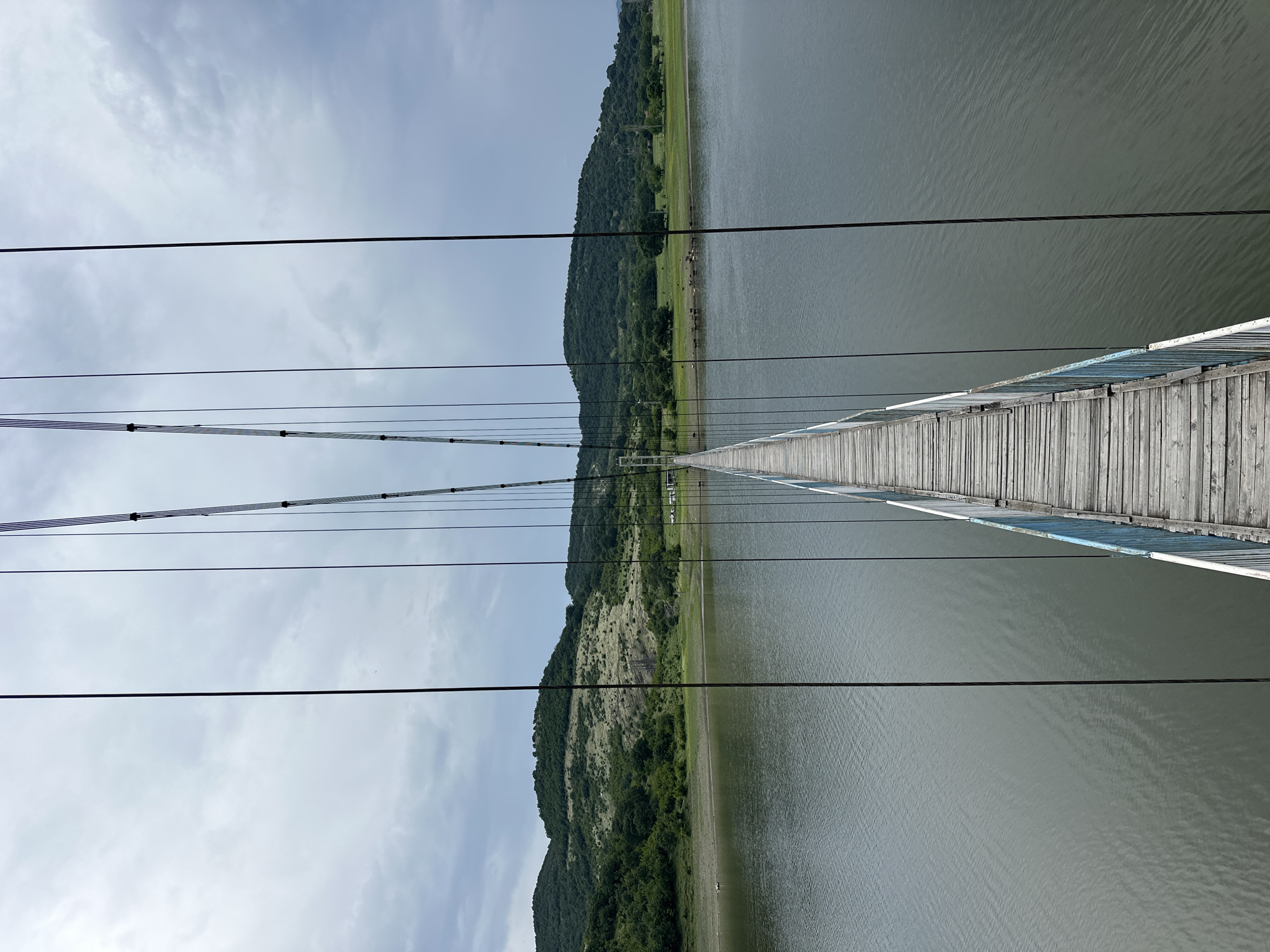 The image depicts a long, narrow wooden suspension bridge extending directly towards the horizon over a wide body of calm, grey-green water. The perspective is from the center of the bridge, looking straight along its length.
The bridge deck is constructed from light-colored wooden planks, showing visible signs of wear and weathering. It is flanked by low metal railings, painted light blue and white, also appearing aged and somewhat corroded. Multiple dark, thin suspension cables descend vertically from above, framing the view and supporting the bridge structure.
The water surface is slightly rippled, reflecting the overcast sky. On both the left and right banks, a strip of barren, light-brown earth is visible at the water's edge, suggesting low water levels or a seasonal dry-out area. Beyond this strip, the landscape consists of undulating hills covered in dense green vegetation, primarily trees and shrubs, under a heavily overcast, grey sky.
On the left bank in the mid-ground, a small white object, possibly a boat or structure, is situated near the waterline. On the right bank, a cluster of dark animals, possibly cattle or goats, is visible near the water's edge, and further back, several white vehicles are parked adjacent to a small, indistinct building or structure. A faint power line pylon is also discernible in the distance on the right.
The scene conveys a sense of remoteness and an overcast day. The location is Lisitsite, Bulgaria.