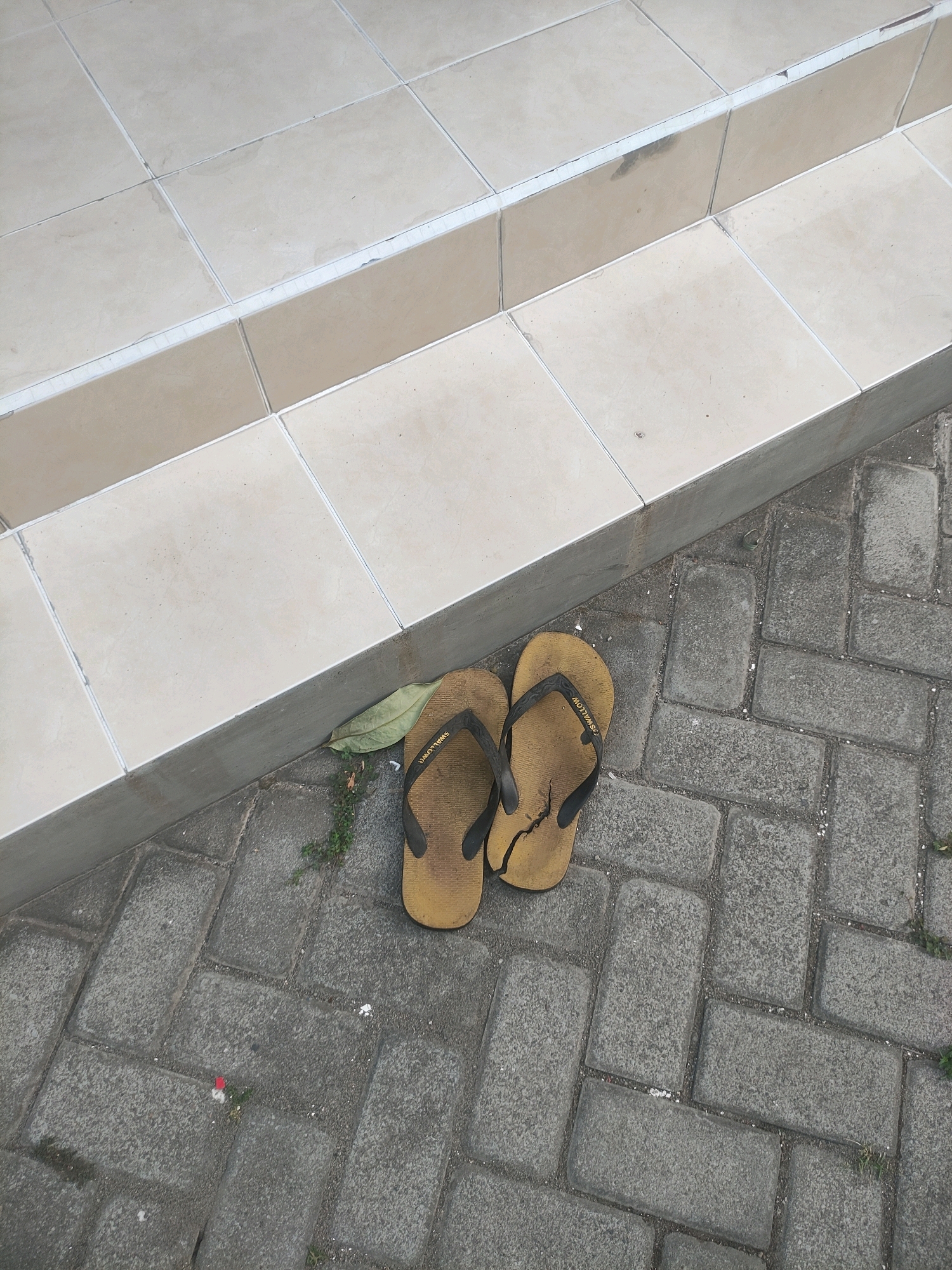 In the city of Ngasem, Indonesia, a pair of worn, tan flip-flops with black straps rests on a paved walkway adjacent to a tiled step. A dry, fallen leaf lies near the flip-flops. The walkway is constructed of grey interlocking rectangular pavers. The steps are made of large, square beige tiles with visible grout lines. The scene appears to be outdoors, possibly near a building entrance. There are no people or animals visible in the image.