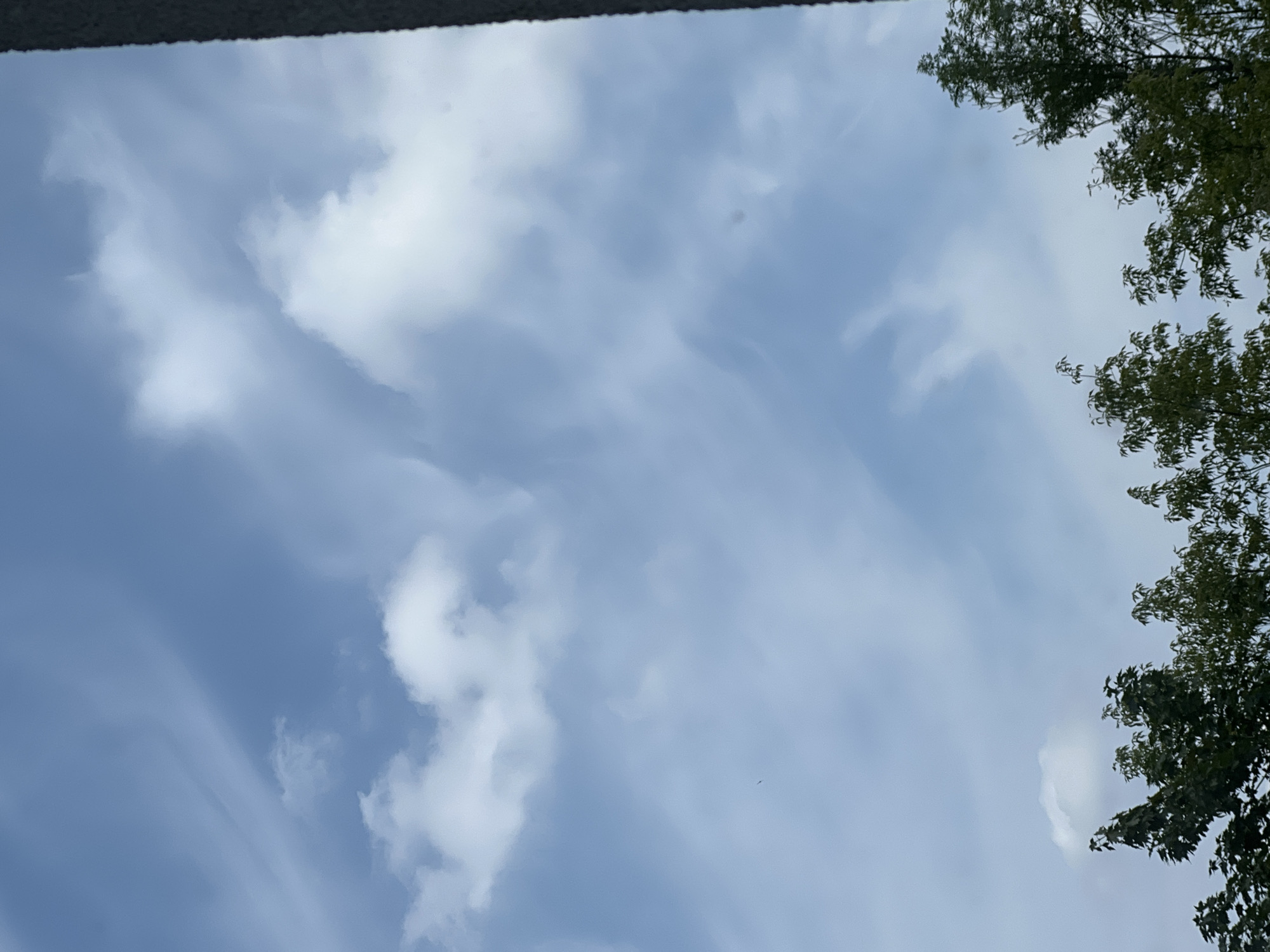 The image is a photograph of a cloudy sky over the city of Warsaw, Poland, with the tops of trees visible at the bottom. The sky is a pale blue, with streaks of white cirrus clouds and larger, puffier cumulus clouds scattered throughout. The clouds appear to be moving, with some areas of wispy, translucent cloud cover and other areas of dense, opaque clouds. The trees at the bottom of the image are a dark green, with some lighter green leaves visible. The trees are densely packed, suggesting they are part of a park or forest. The lighting suggests it is daytime, likely late morning or early afternoon, given the brightness of the sky. The overall impression is one of a pleasant, slightly overcast day.