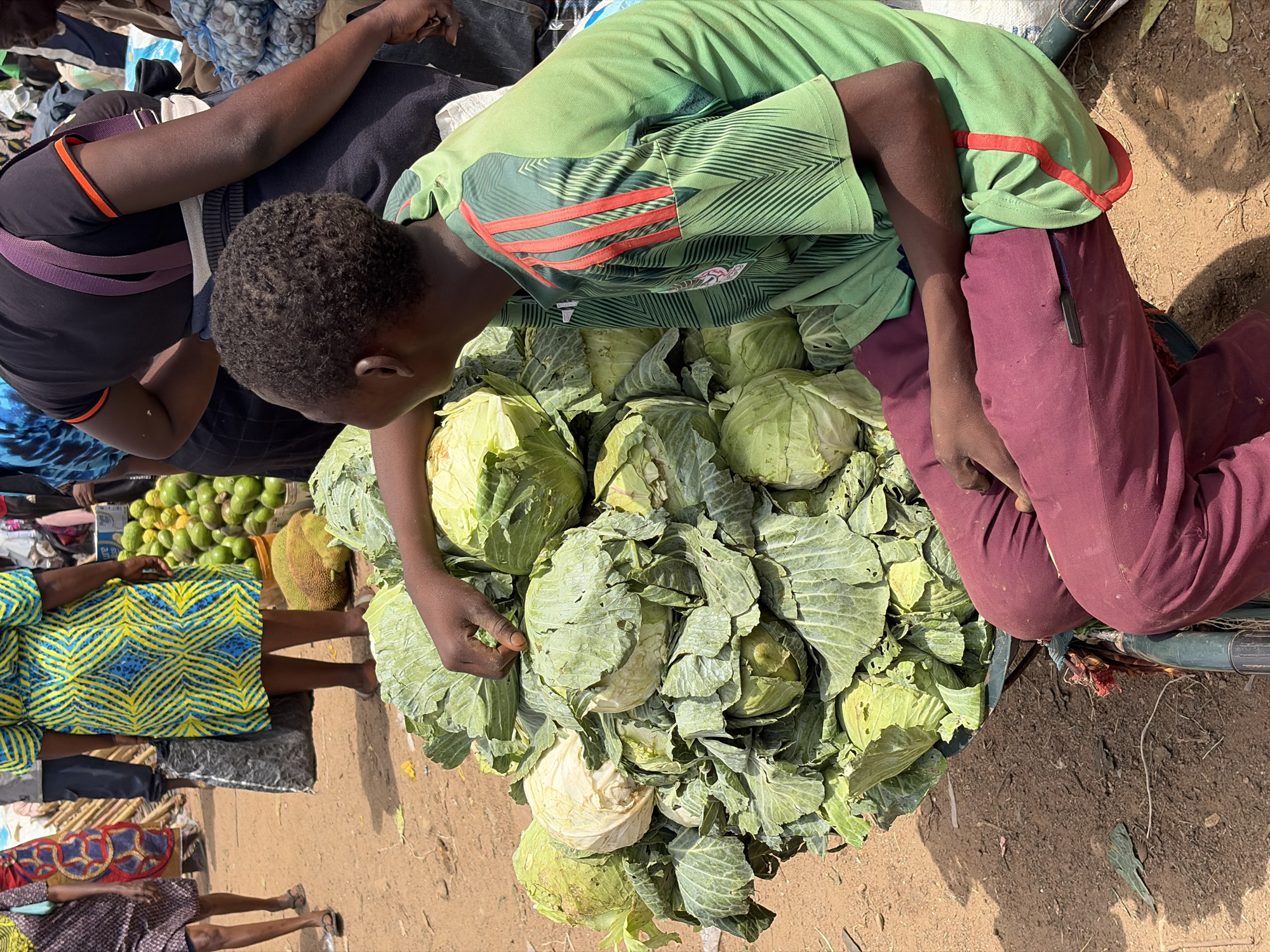 In Gura Top, Nigeria, a young boy wearing a green and red striped t-shirt and maroon pants is crouched next to a large pile of cabbages. He is seen from the back, with his left hand resting on a cabbage. The cabbages are piled high in what appears to be a wheelbarrow or cart. In the background, other people are visible, some carrying bags and wearing traditional African attire. The ground is dusty, and there are other produce items, including what looks like avocados, in the background. The scene appears to be a market.