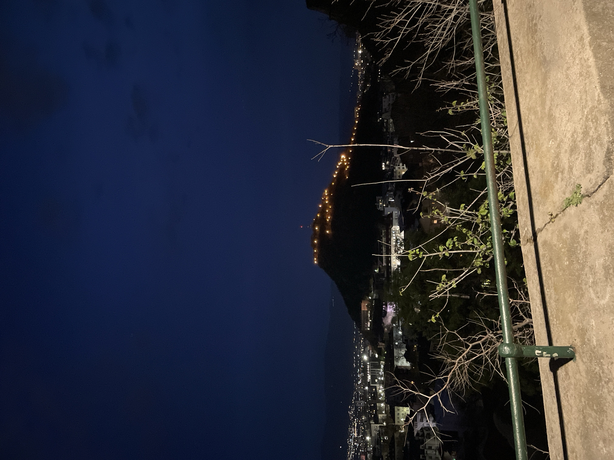 The image depicts a nighttime view from an elevated position overlooking a city illuminated by streetlights and building lights. The scene includes a dark sky, a mountain or hill with lights ascending its slope, and a city sprawling below. A concrete structure and a green metal railing are visible in the foreground. Branches of a tree, some with leaves, are positioned between the railing and the cityscape. The location cannot be determined as Plovdiv, Bulgaria based on the image alone.
