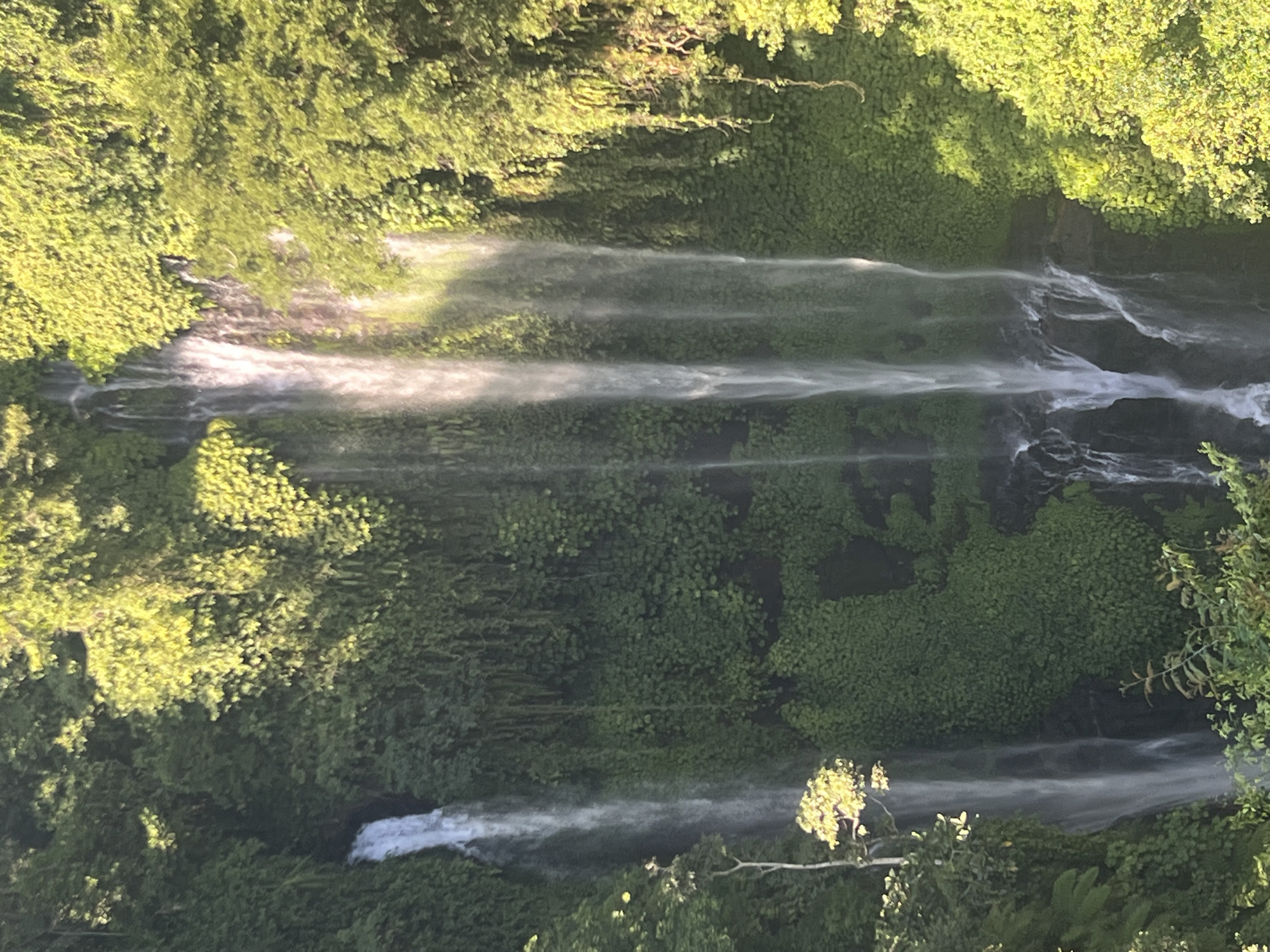 This is a vertical, slightly blurry, medium-shot photograph of the Sekumpul waterfall in Sawan, Indonesia. The waterfall is a tall, multi-tiered cascade with several streams of water flowing down a densely vegetated cliff face. Lush green foliage covers the rocks and hangs from the cliff, creating a vibrant and naturalistic scene. Sunlight filters through the trees, illuminating parts of the waterfall and the surrounding greenery. The water appears white and misty as it falls, creating a dynamic contrast with the static greenery. No people or animals are visible in the image. The environment is lush and tropical, characteristic of a rainforest setting.