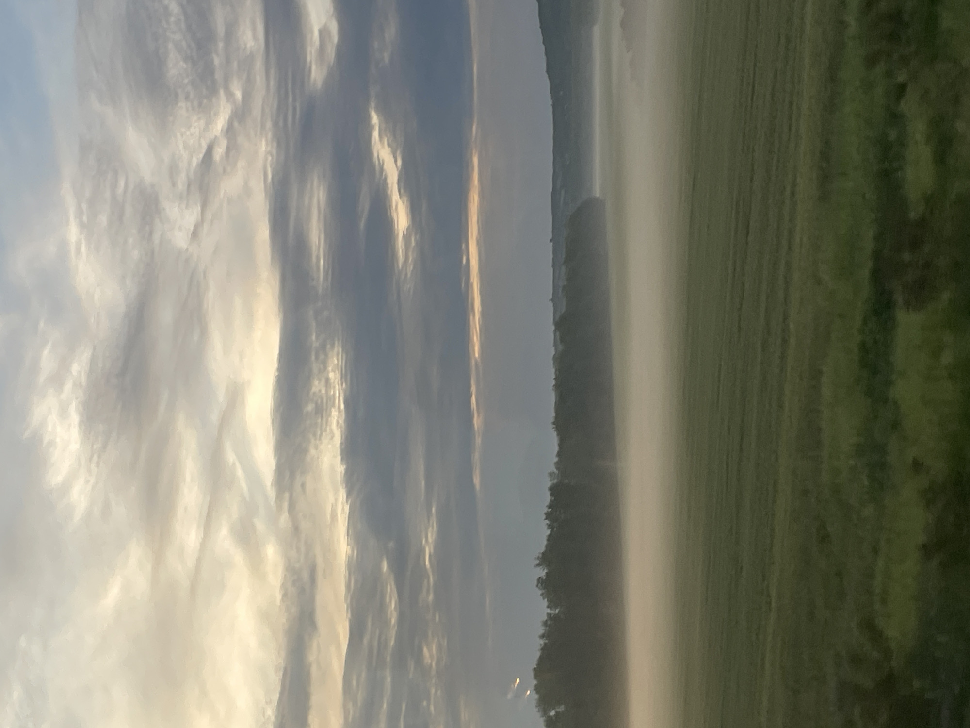 The image shows a landscape with a field covered in mist or fog. A line of trees separates the field from the sky. Above the trees, the sky is filled with clouds. The image is likely taken in a rural area near Obrenovac, Serbia.