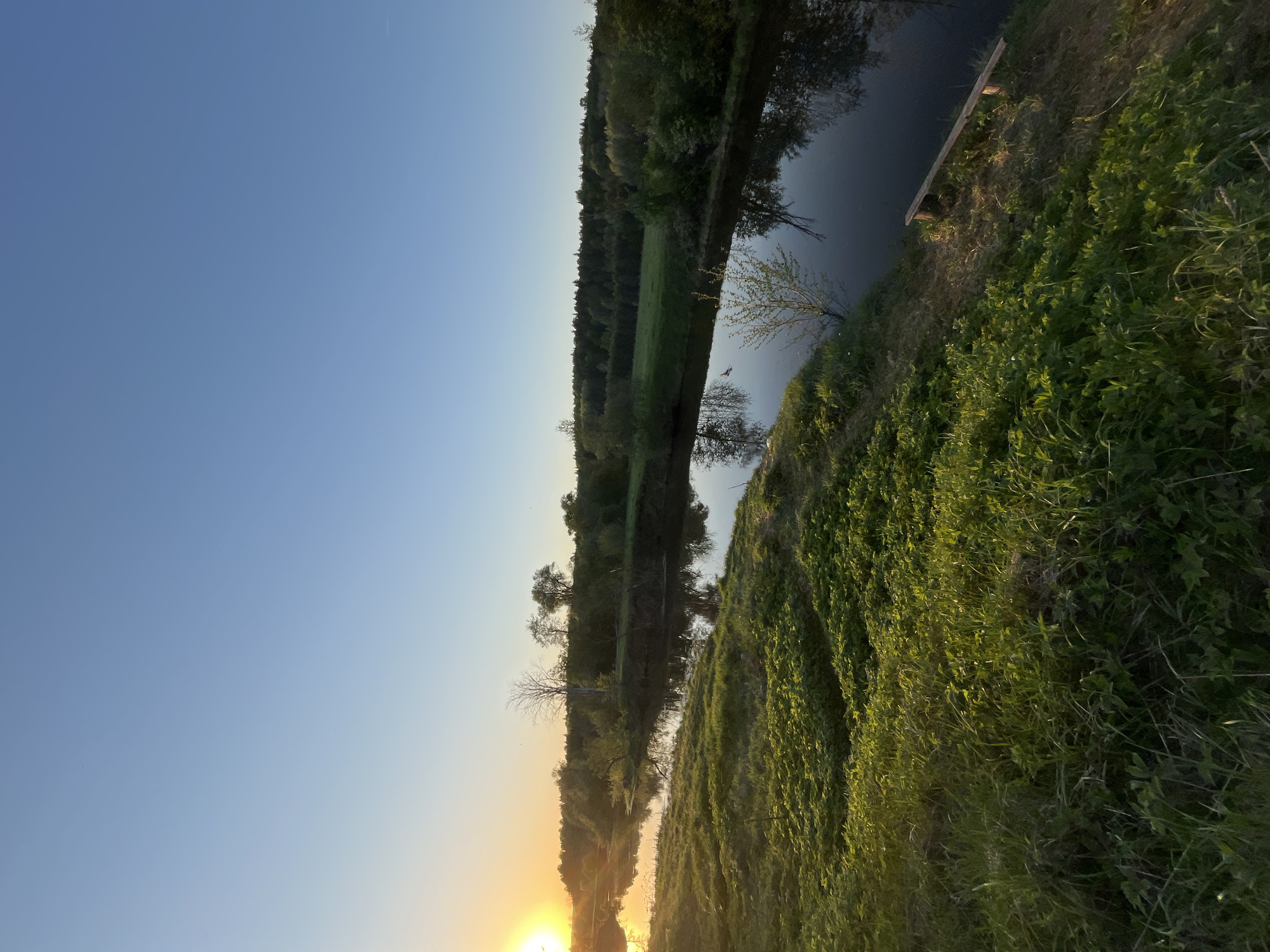 The image depicts a view of a river at sunset, possibly near Garevaya, Russia. The sun is setting at the bottom of the frame, casting a warm glow on the scene. The river runs through the middle of the image, reflecting the trees and sky. The left side of the river is lined with trees. The right side of the river is covered in lush green grass. There is a wooden bench sitting on the right bank of the river. The sky is clear, with hues of blue fading into the orange of the sunset.