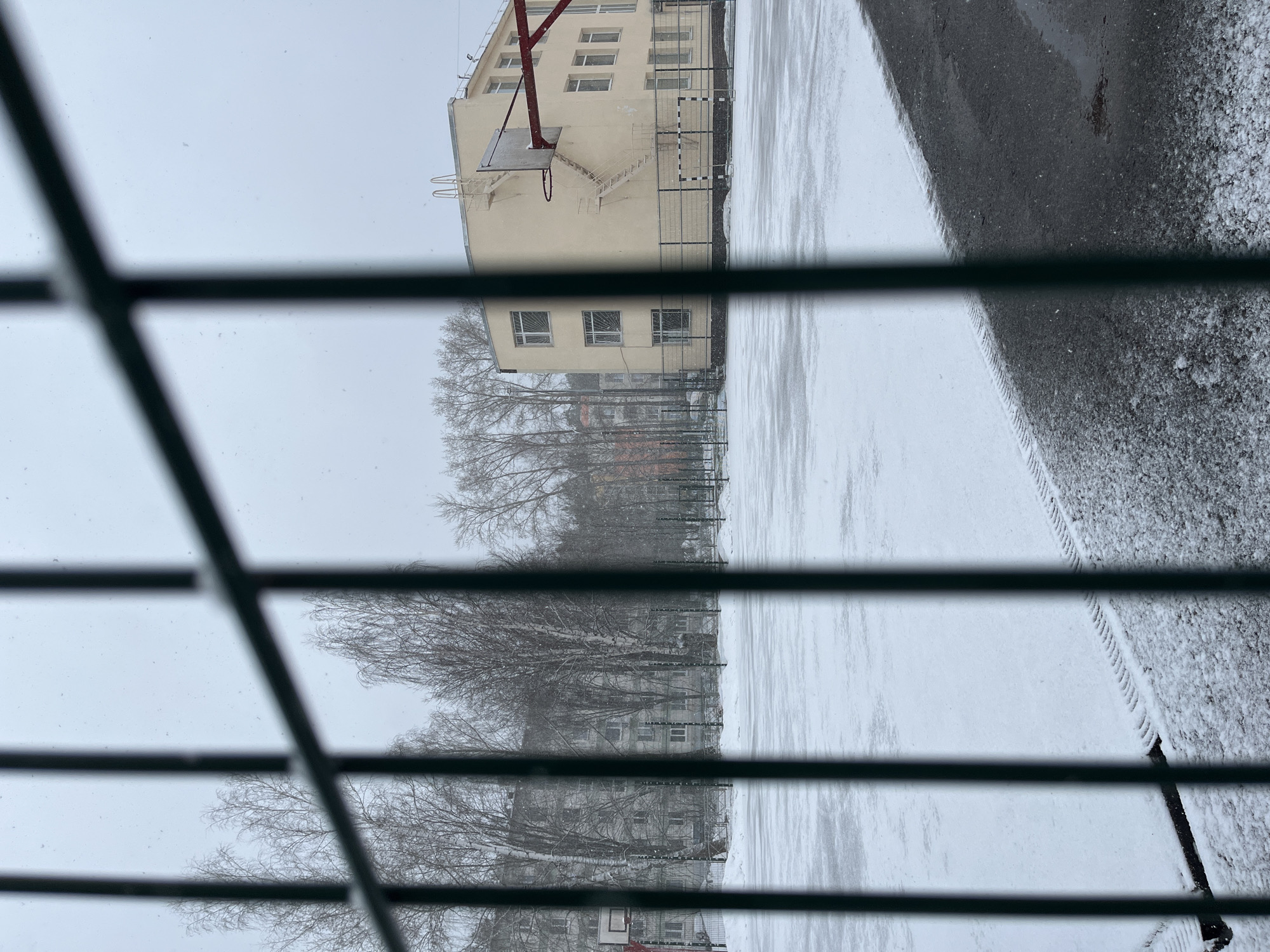 The image depicts a snow-covered scene in Chaikovsky, Russia, viewed through a barred window. A light-colored building with a basketball hoop is visible in the background, partially obscured by bare trees. A snow-covered field or courtyard stretches out from the building, and a dark, possibly paved, area borders the right side of the field. The weather appears overcast with falling snow. No people are visible.