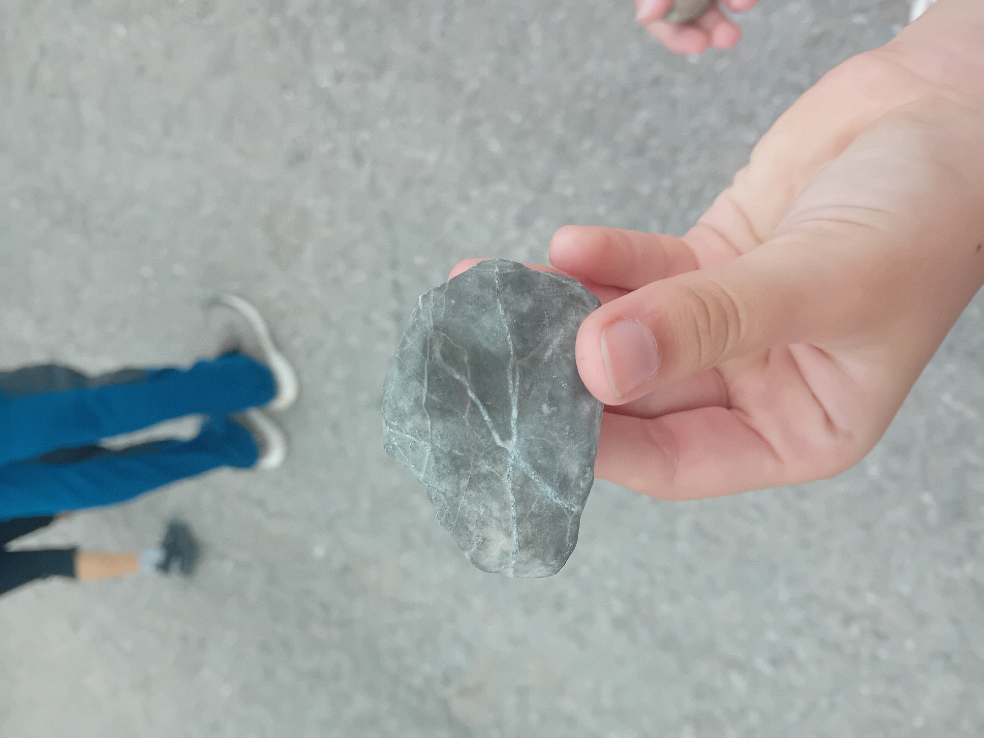 In the city of Habovka, Slovakia, a person's hand is holding a gray, irregularly shaped rock with light-colored veins. The background is blurred, showing pavement and the lower legs and feet of individuals wearing blue pants and shoes.