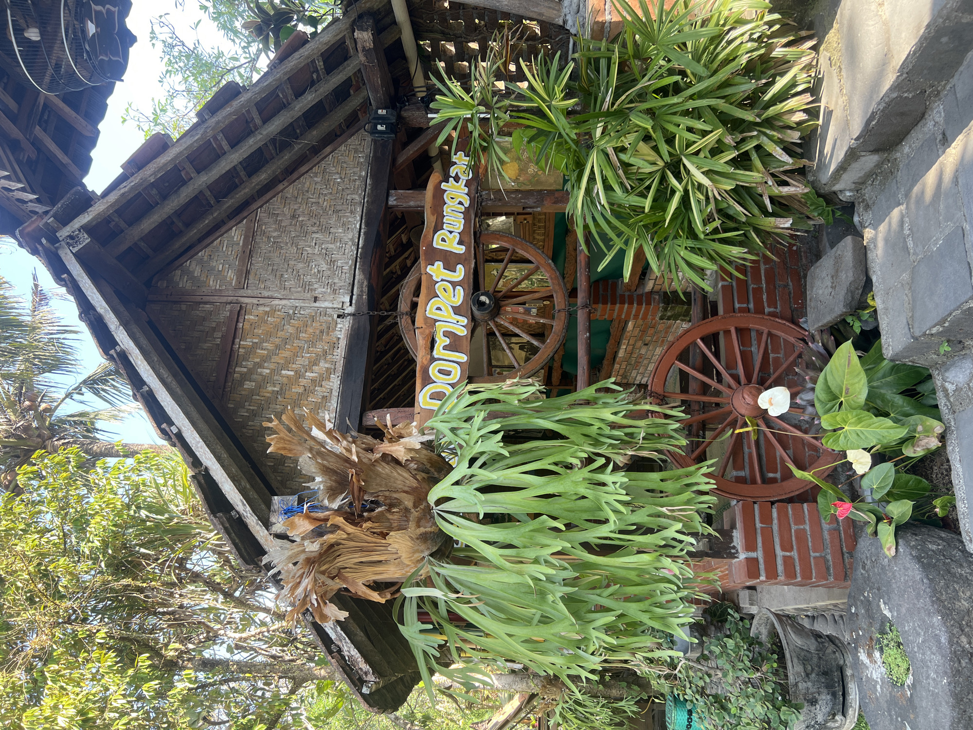 This image depicts the exterior of a rustic building, possibly a shop or restaurant, in Tlogoadi, Indonesia. The structure is made of wood and bamboo, with a tiled roof. A large staghorn fern hangs prominently from the eaves, its fronds cascading downwards. Two wooden wagon wheels are used as decorative elements, one mounted on the building and the other placed on the ground. A sign above the wagon wheel reads "DomPet Rungkat" in yellow lettering with a red outline. Various potted plants and a few blooming flowers, including anthuriums, are visible in front of the building. The foreground is composed of stone slabs and paving stones. The background is filled with lush green foliage and trees, indicating a natural, possibly tropical, environment. The lighting suggests it is daytime, with sunlight filtering through the trees. There are no people visible in the image.