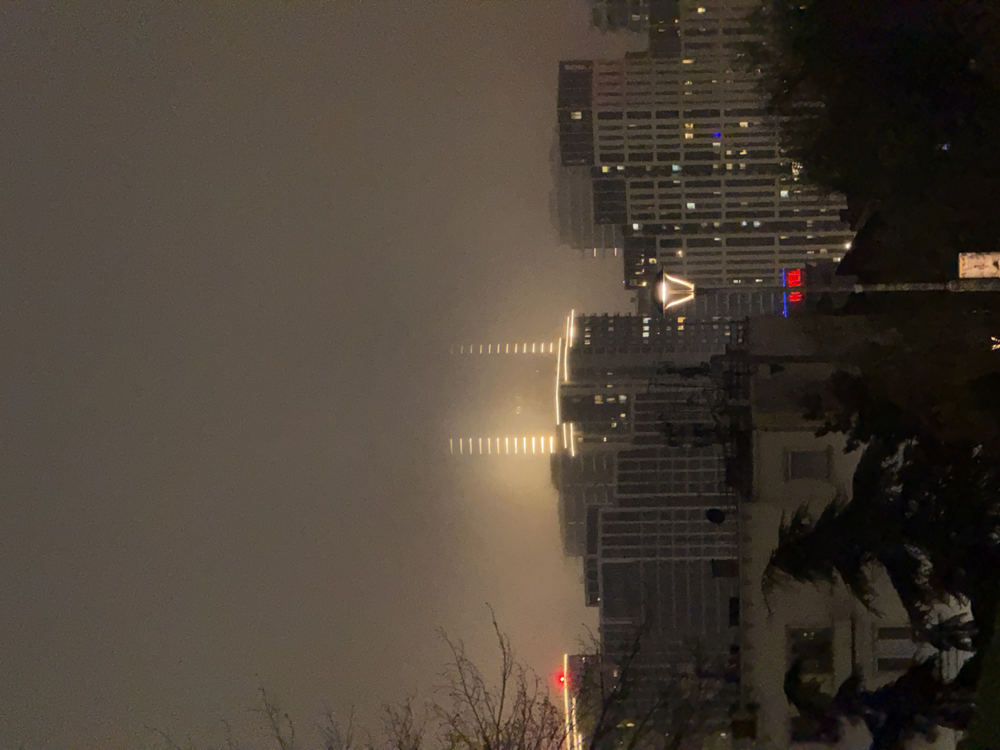 The image depicts a cityscape at night in Belgrade, Serbia, likely taken from an elevated position. The scene is dominated by fog or smog that obscures the background. Tall buildings with illuminated windows rise from the fog. The lights of the Belgrade bridge (Brankov bridge) are visible, leading towards the city center. To the right of the frame is vegetation, including tree branches. The sky is overcast, contributing to the overall sense of haze.