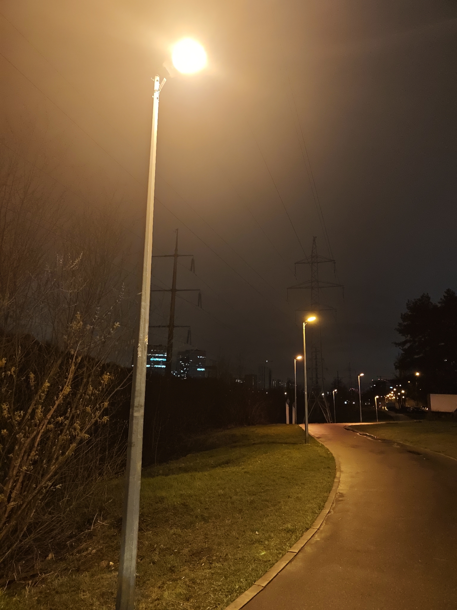 A nighttime scene in Moscow, Russia depicts a curving, wet asphalt path illuminated by a series of streetlights. On the left, a thin-trunked tree with bare branches stands near the path, alongside a patch of grassy land. Overhead, power lines stretch across the sky, connected to transmission towers visible in the background. The sky is dark, with a faint glow from the city in the distance. The image captures a quiet, dimly lit environment.
