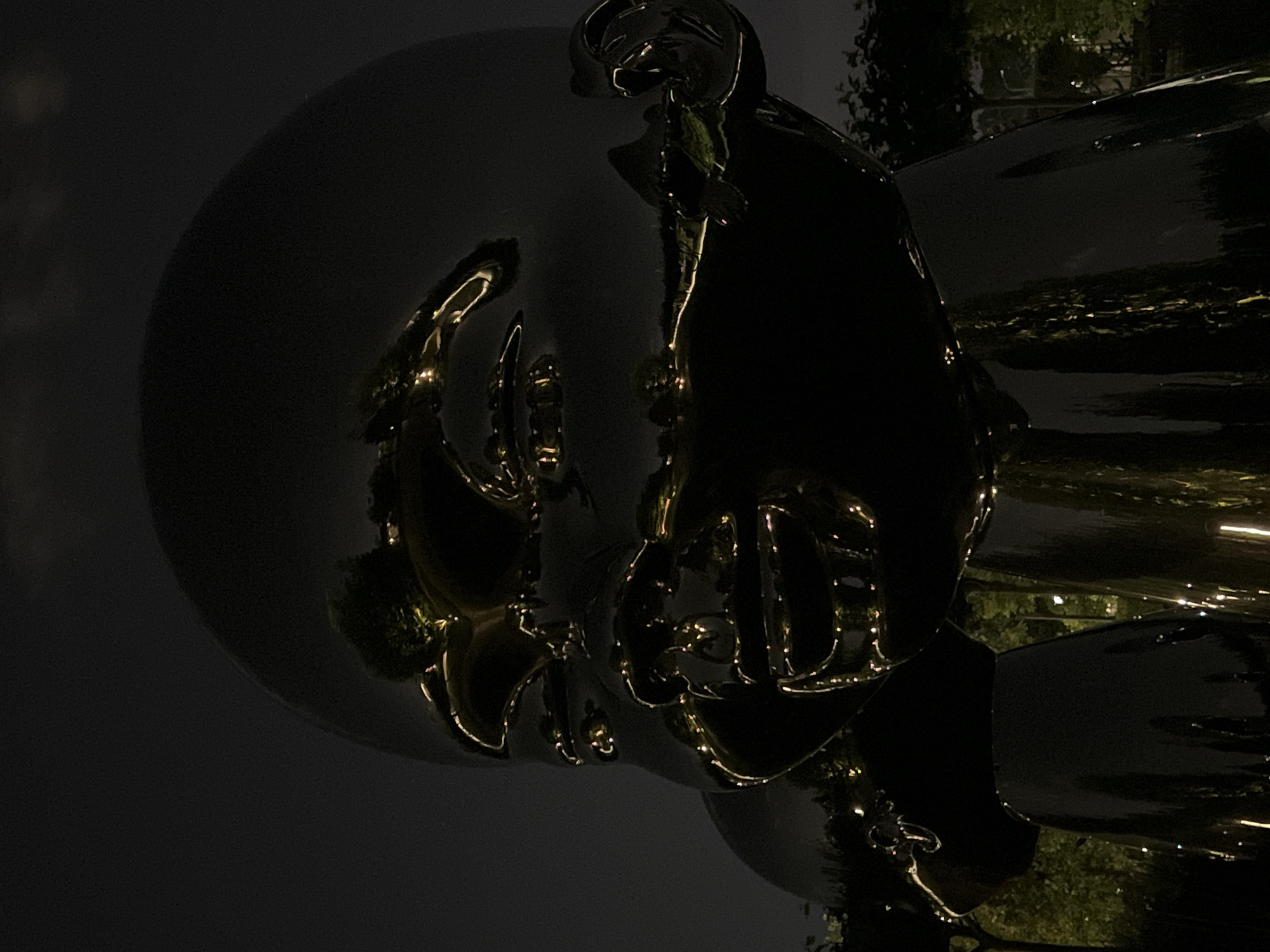 The image shows a close-up of a large, black, reflective sculpture of a baby's head, illuminated by lights that reflect off its surface. The sculpture has smooth, rounded features and appears to be outdoors at night, given the dark sky. In the background, there are blurred trees and lights, suggesting an urban park or public space. The reflections on the sculpture's surface show distorted shapes of lights and possibly surrounding greenery and structures. There are no people visible in the image. The location of this sculpture is not in Krasnodar, Russia.
