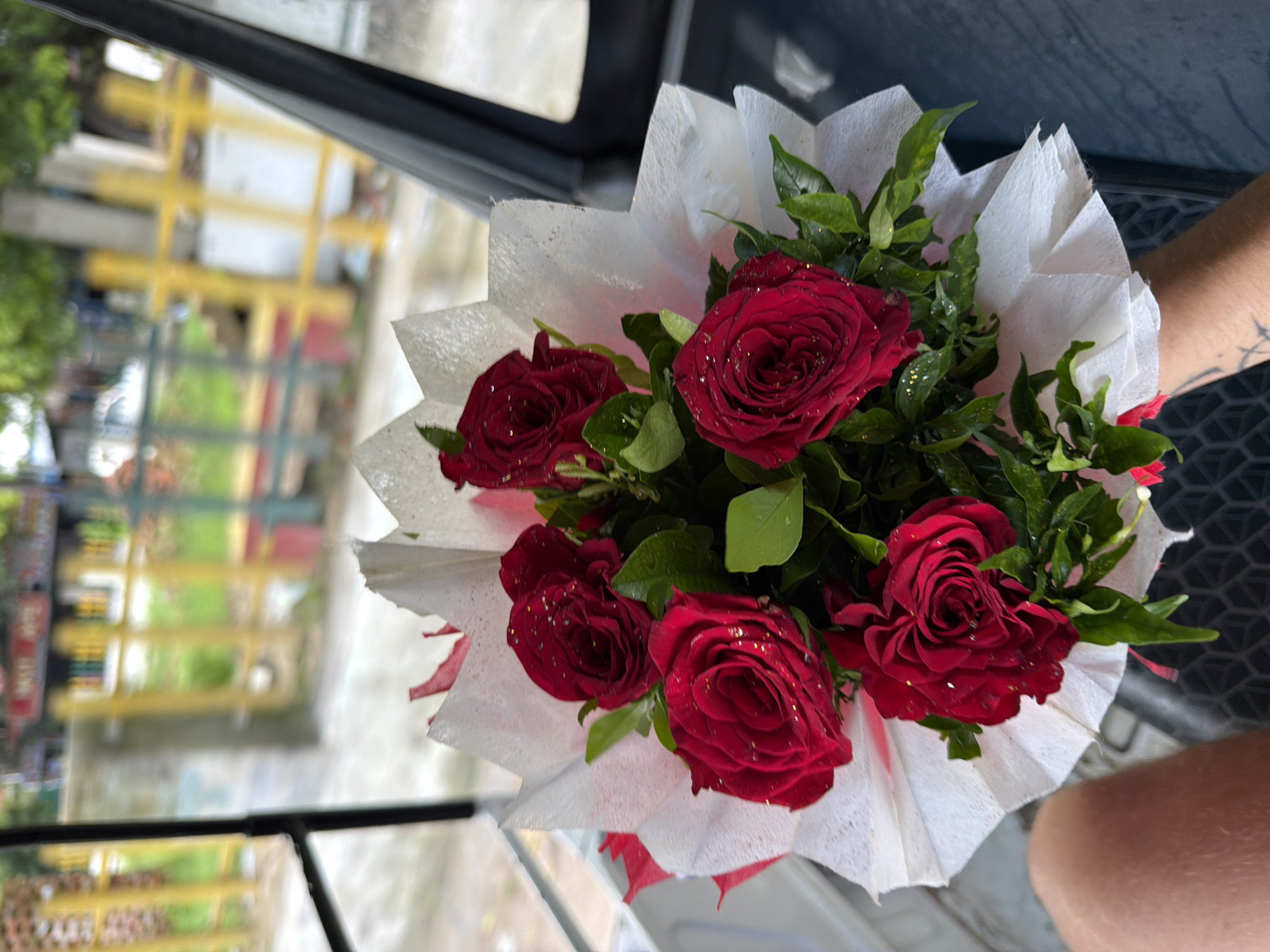 A close-up, overhead shot shows a bouquet of five deep red roses, each with water droplets and gold glitter on its petals. The roses are nestled amongst dark green foliage and wrapped in white paper with red ribbon accents. The bouquet is held by a person whose bare arm and knee are visible in the lower left and bottom of the frame, respectively. A tattooed arm is also visible. The background is blurred, suggesting the image was taken from a moving vehicle. The background shows a yellow fence and greenery, indicative of an outdoor, urban environment. Based on the provided information, this scene is located in Kanpur, India.