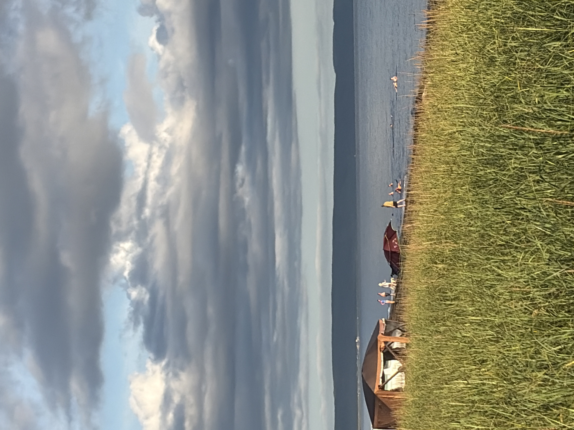 This is a vertical, medium-distance photograph of a coastal scene on a cloudy day, possibly near Ozerskoe, Russia. The foreground is dominated by tall, green grass, suggesting a natural, undeveloped shoreline. In the middle ground, a brown tent or shelter with an open side is set up on the beach, and several people are visible near it. To the right of the tent, a red umbrella lies on its side. Beyond the beach, the calm, blue water of a large body of water, likely a lake or sea, stretches to the horizon. Several individuals are in the water, some appearing to be swimming or floating. In the far distance, a dark, hazy landmass forms the horizon. The sky is filled with a mix of dark, heavy clouds and patches of lighter sky, indicating overcast weather with potential for sunlight.