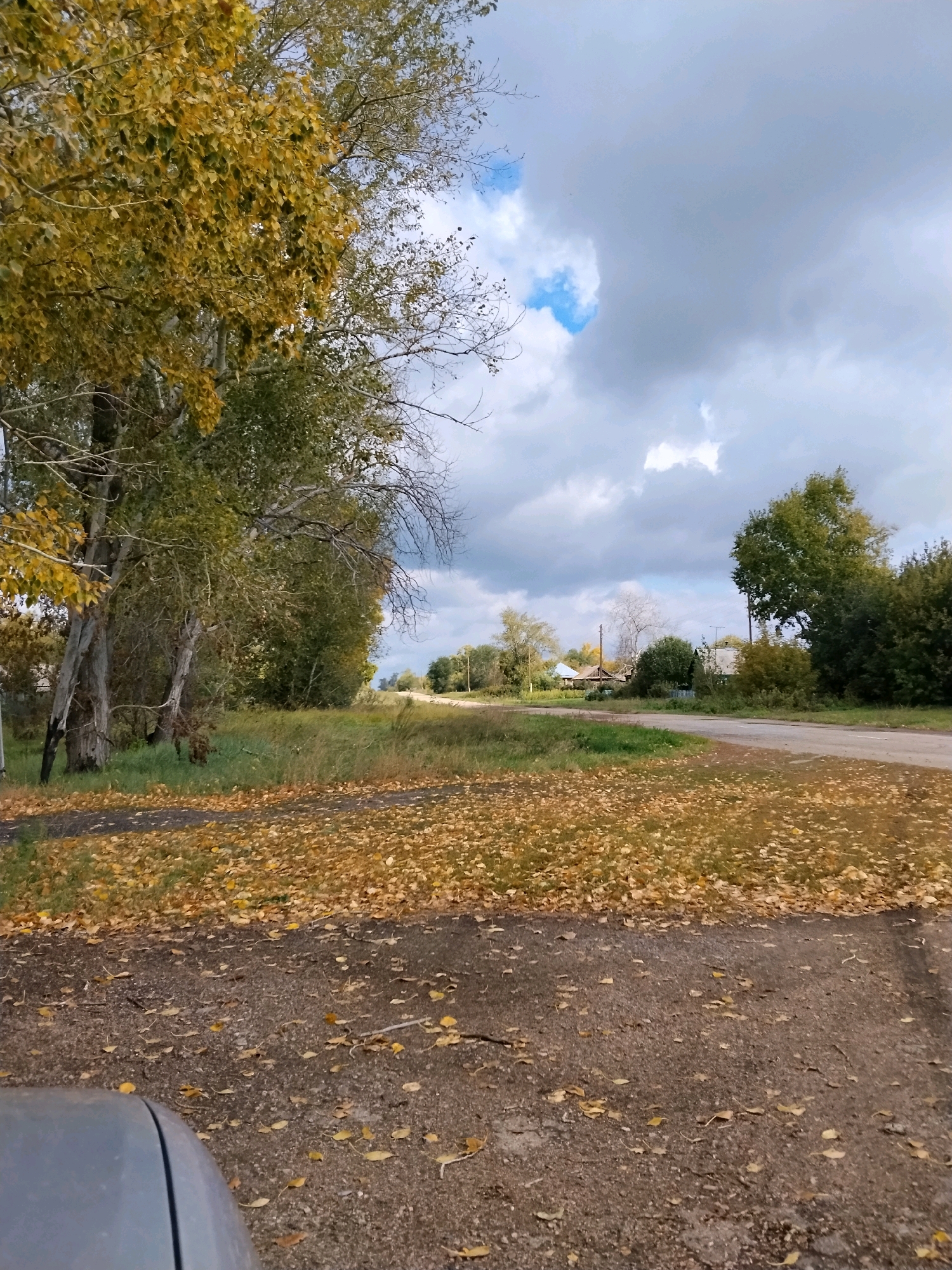 This image depicts an outdoor scene in the village of Shubinka, Russia, during autumn. In the foreground, a gravelly area is covered with fallen yellow leaves. To the left, a row of trees with yellowing foliage lines the edge of a grassy area. A paved road curves into the distance, bordered by more trees and a few houses. The sky is partially cloudy, with patches of blue visible. The overall impression is a quiet, rural landscape in the fall.