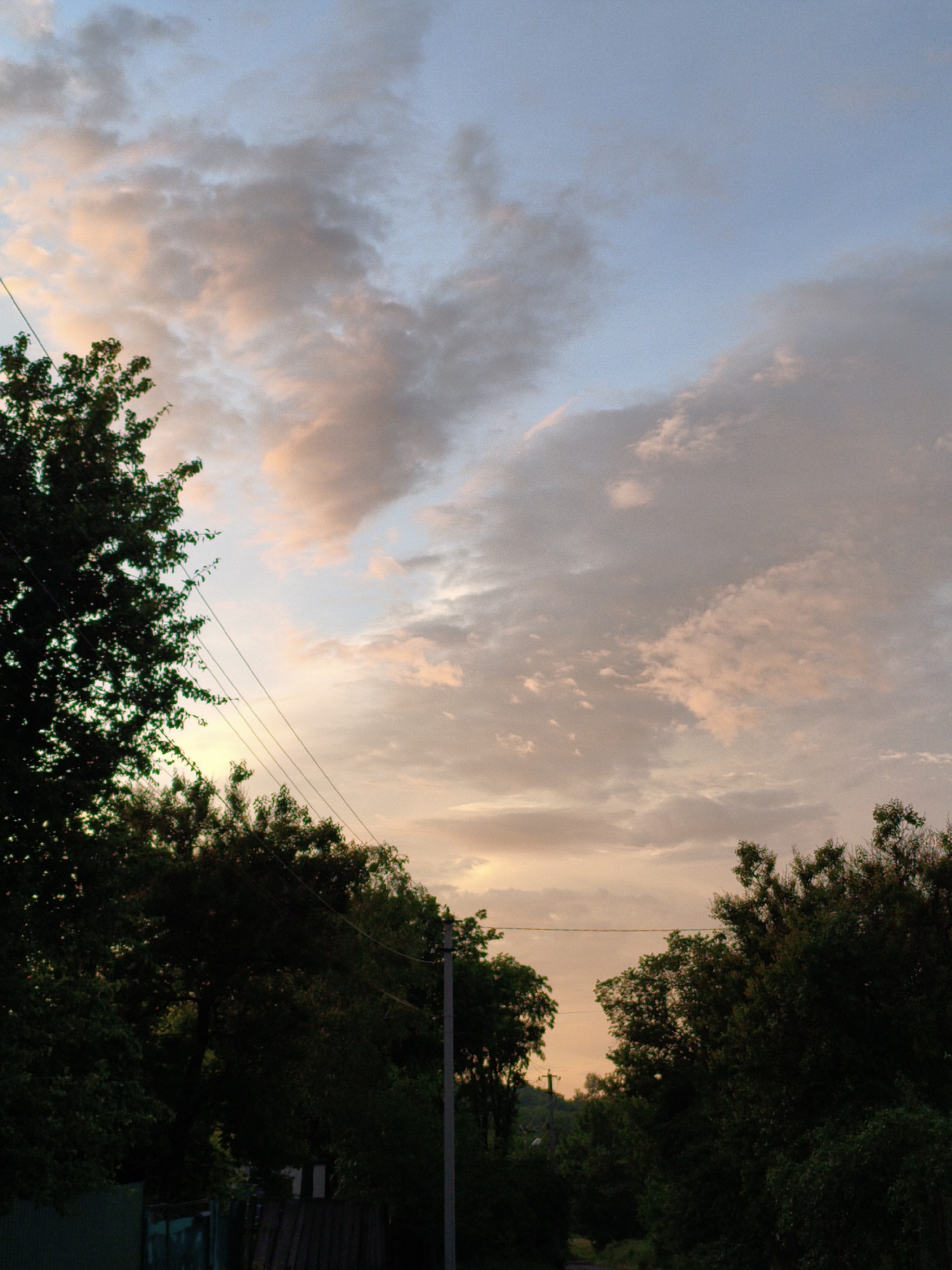 This image depicts a sunset sky over a rural area of Ustyvytsia, Ukraine. Dark green foliage from trees dominates the foreground and midground, obscuring much of the ground and any structures. Several power lines stretch horizontally across the frame, supported by a utility pole visible on the right side of the image. The sky above is filled with clouds, some tinged with pink and orange hues from the setting sun, while others remain a soft blue. The overall impression is one of a quiet, natural landscape at dusk.