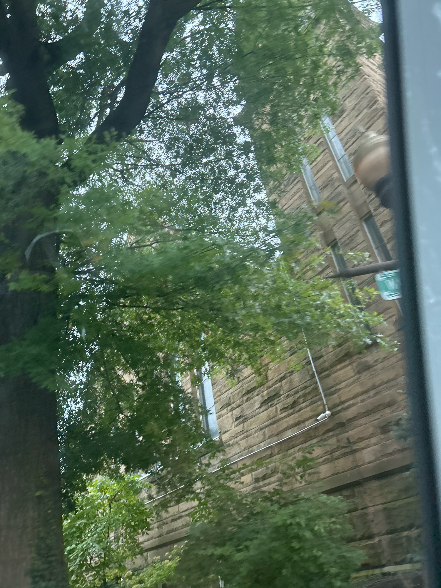 The image captures a street view in Carnegie, United States of America. A large tree with dense green foliage occupies the left side of the frame, its thick trunk and branches obscuring part of the background. To the right, a stone building with distinct horizontal layering of the masonry is visible. Several rectangular windows punctuate the facade of the building. A dark, horizontal pole is mounted on the building, and a green street sign with white lettering is affixed to it. The scene appears to be viewed from a slightly elevated perspective, possibly from a vehicle, given the slight blur and angle. The overall impression is one of an urban environment with significant greenery, suggesting a street lined with trees and buildings.
