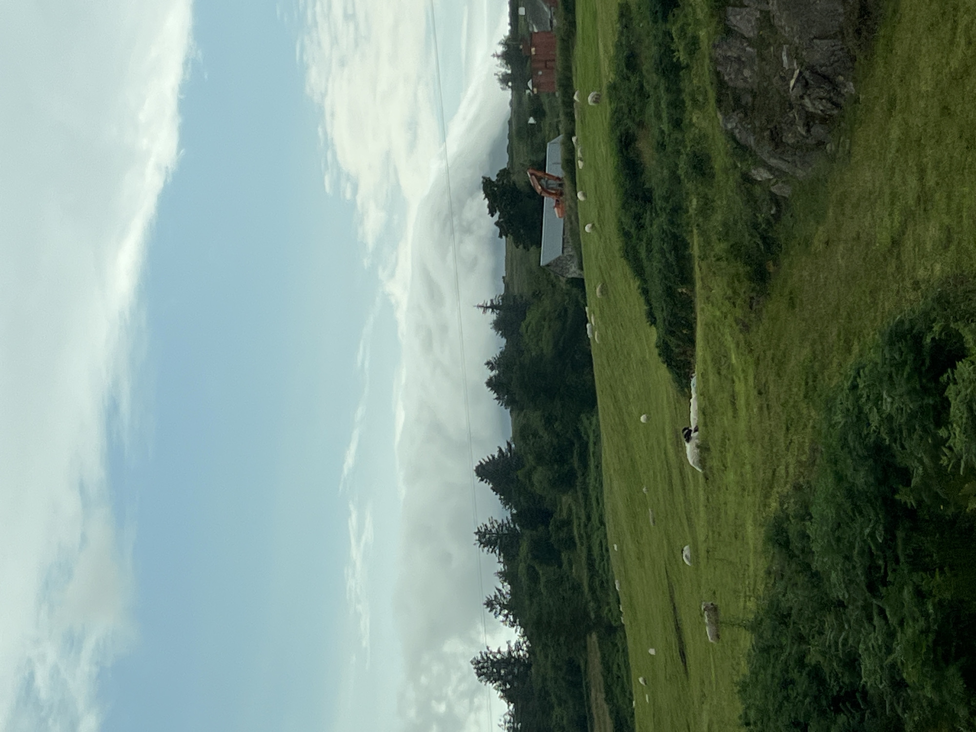 An overcast sky with a band of thick, low-hanging clouds stretches across the upper half of the image. Below this, a rolling green hillside is dotted with sheep grazing. In the middle ground, there are scattered trees and a few buildings, including a stone structure with a metal roof and an orange excavator nearby. Further in the distance, more trees and buildings are visible, with the low clouds obscuring the upper parts of the landscape. The foreground features dense green foliage. The scene appears to be a rural landscape in or near Creeslough, Ireland.