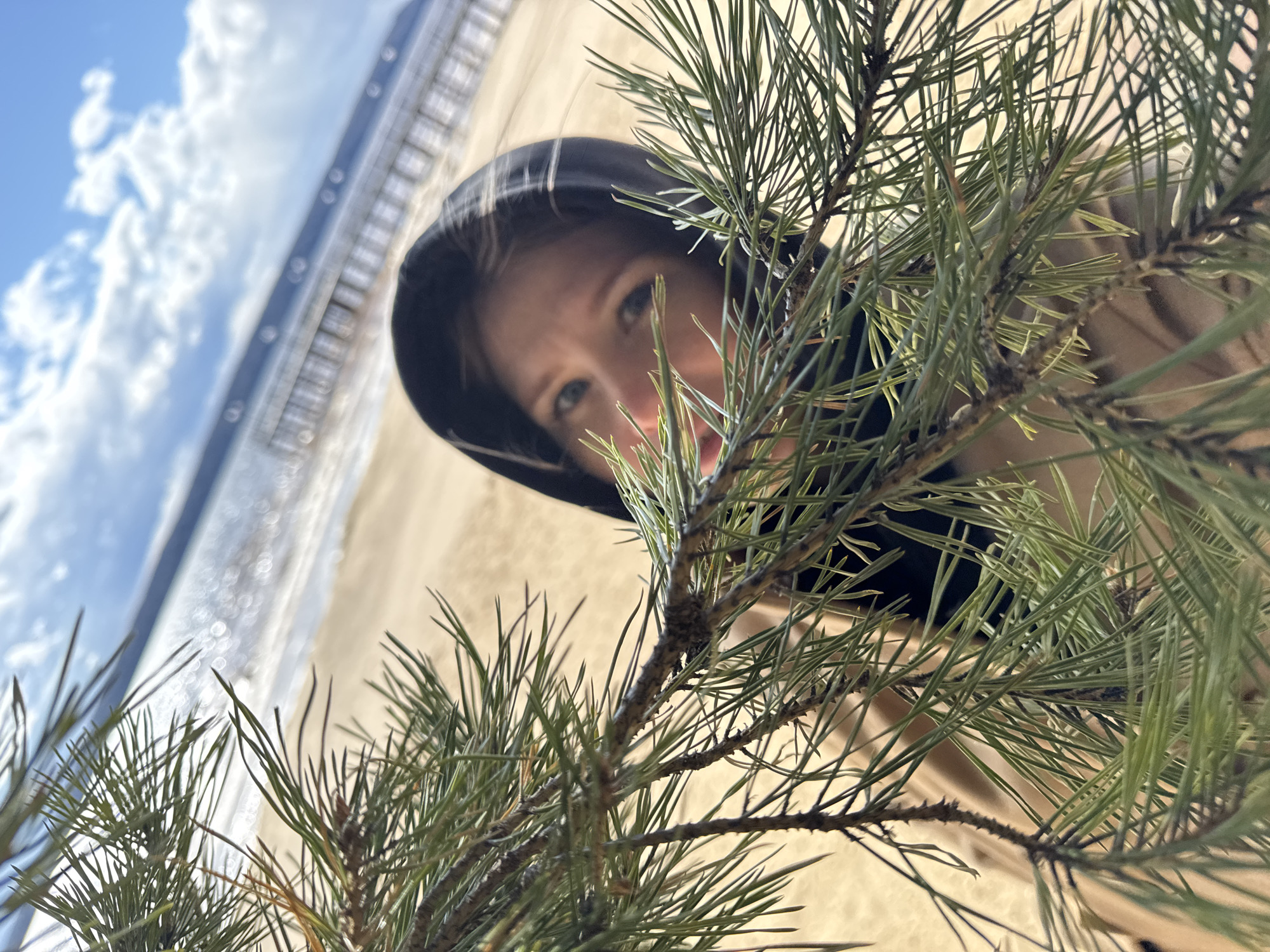 A woman wearing a black hood is partially obscured by a pine branch in the foreground. The background reveals a beach, the sea, and a pier under a partly cloudy sky. The photo was taken in Polazna, Russia.