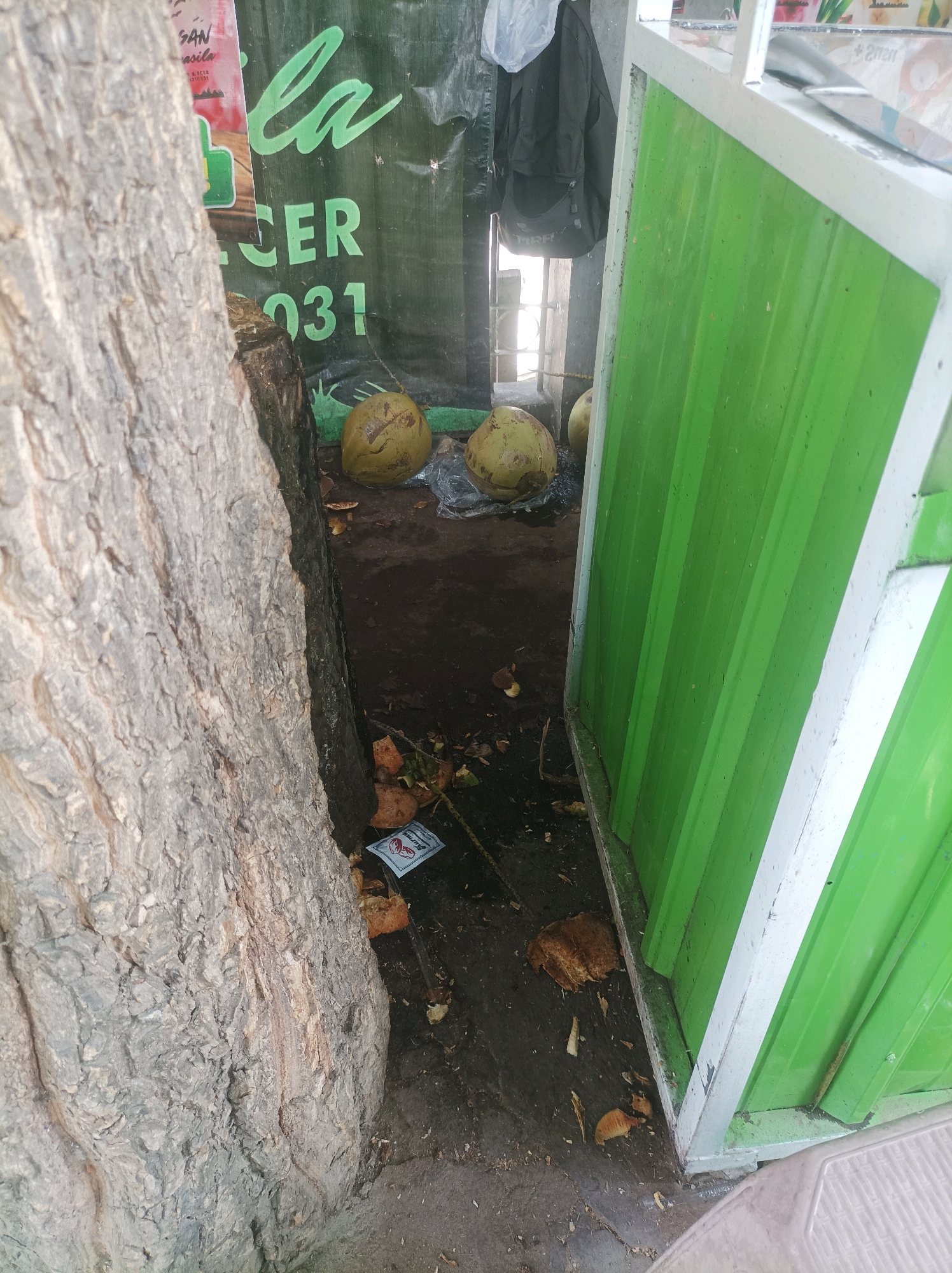 An outdoor scene, likely in Sumuragung, Indonesia, depicts a stall or kiosk with a prominent, rough-barked tree trunk in the foreground to the left. Behind the tree trunk, a green tarp with some lettering is visible, including the word "la" in large green script and smaller text that appears to be "CER 031". To the right of the tree and tarp is a structure with bright green corrugated metal siding, framed by white metal trim. Two whole coconuts and part of another are lying on the ground in front of the green structure, some of them appearing to be in a plastic bag. Scattered on the dark ground are coconut husks and debris, and a small white packet with red writing is visible. A dark-colored backpack is hanging on a wall or structure behind the coconuts and tarp, with a portion of a white plastic bag above it. The overall impression is of an open-air market stall or a roadside vendor setup.