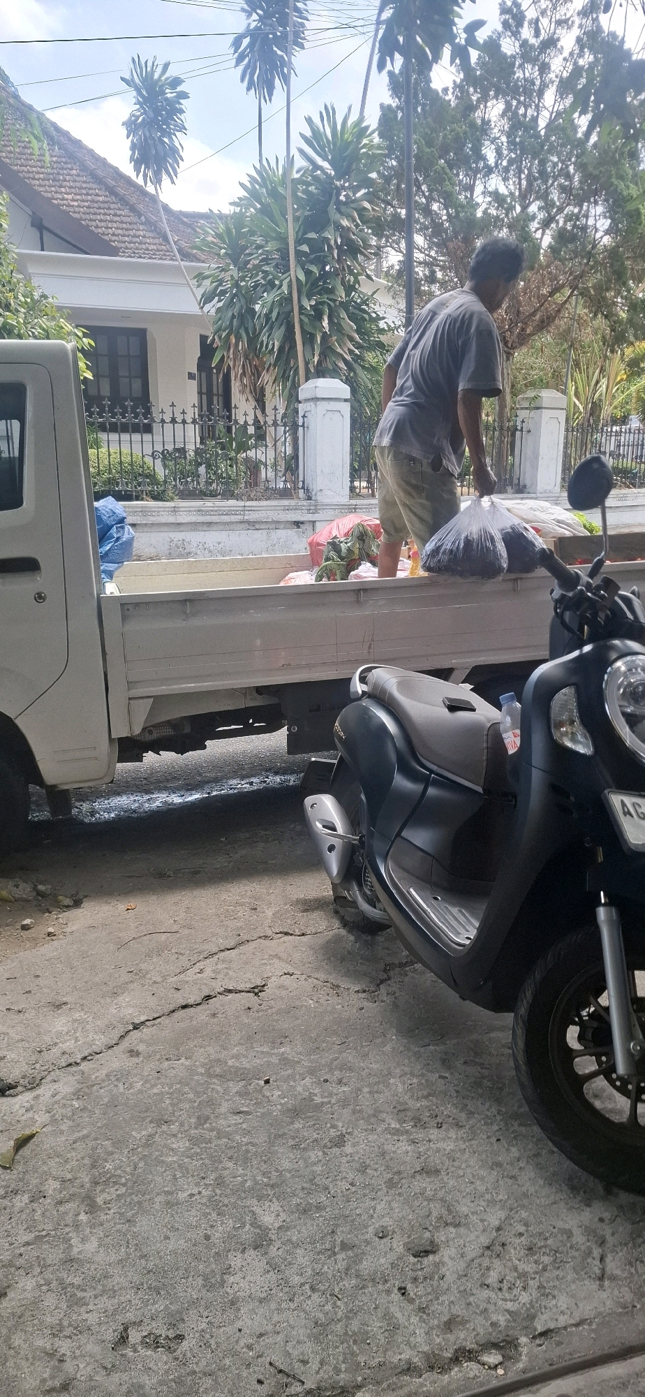 In Blitar, Indonesia, a man is seen in a light gray t-shirt and light-colored shorts, standing in the bed of a white pickup truck. He is carrying two transparent plastic bags filled with dark contents. The truck bed also contains other items, including a large blue tarp and red and green bags with produce. In the foreground, a dark-colored scooter is parked, partially obscuring the truck and the ground. The environment suggests a residential area with a white house and fence in the background, surrounded by lush greenery and trees. The ground is paved with concrete, showing some cracks and debris.
