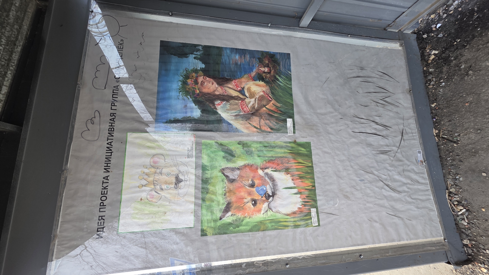 The image shows a display case in Lensk, Russia, containing three children's drawings. The drawings are affixed to a gray, translucent surface, possibly plexiglass or similar material, within a metal frame. The upper drawing depicts a woman with a wreath of flowers, possibly a Slavic mythological figure. Below this are two other drawings. One is a lion wearing a crown, and the other is a fox. The display case is installed under a corrugated metal overhang. Outside of the display case there is an area that looks like a street with a bit of trash. There's Cyrillic text present on the display.