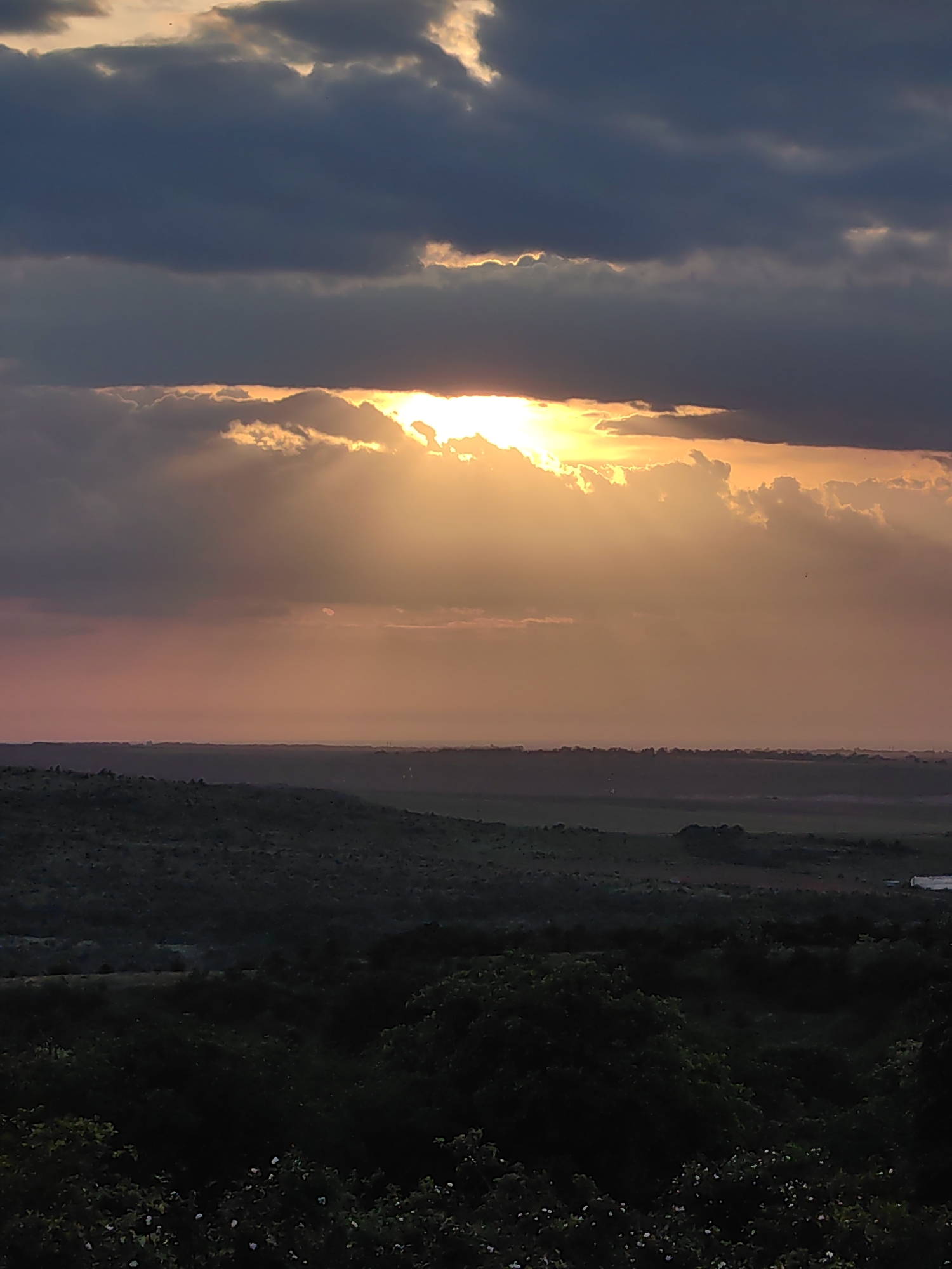 The image depicts a panoramic landscape scene at sunset in the city of Unknown, Unknown. The upper portion of the frame is dominated by a dramatic sky featuring stratified, dark grey clouds. A brilliant golden-orange sun is partially obscured by a central cloud bank, from which intense crepuscular rays emanate downwards. The clouds surrounding the sun are brightly illuminated with orange and yellow light. Below the main cloud layers, the sky transitions through hues of pinkish-orange, fading into a muted purplish-grey at the distant horizon. The midground reveals a vast, flat plain appearing as a dark silhouette against the atmospheric haze, with some extremely faint, indistinguishable structures visible. The lower half of the image presents undulating terrain densely covered in dark green to almost black vegetation, consistent with hills and forests. The foreground is heavily shadowed, with minimal detail discernible in the foliage, though small white specks, possibly flowers, are visible in the immediate bottom foreground. No individuals or clearly identifiable man-made objects are present in the scene.