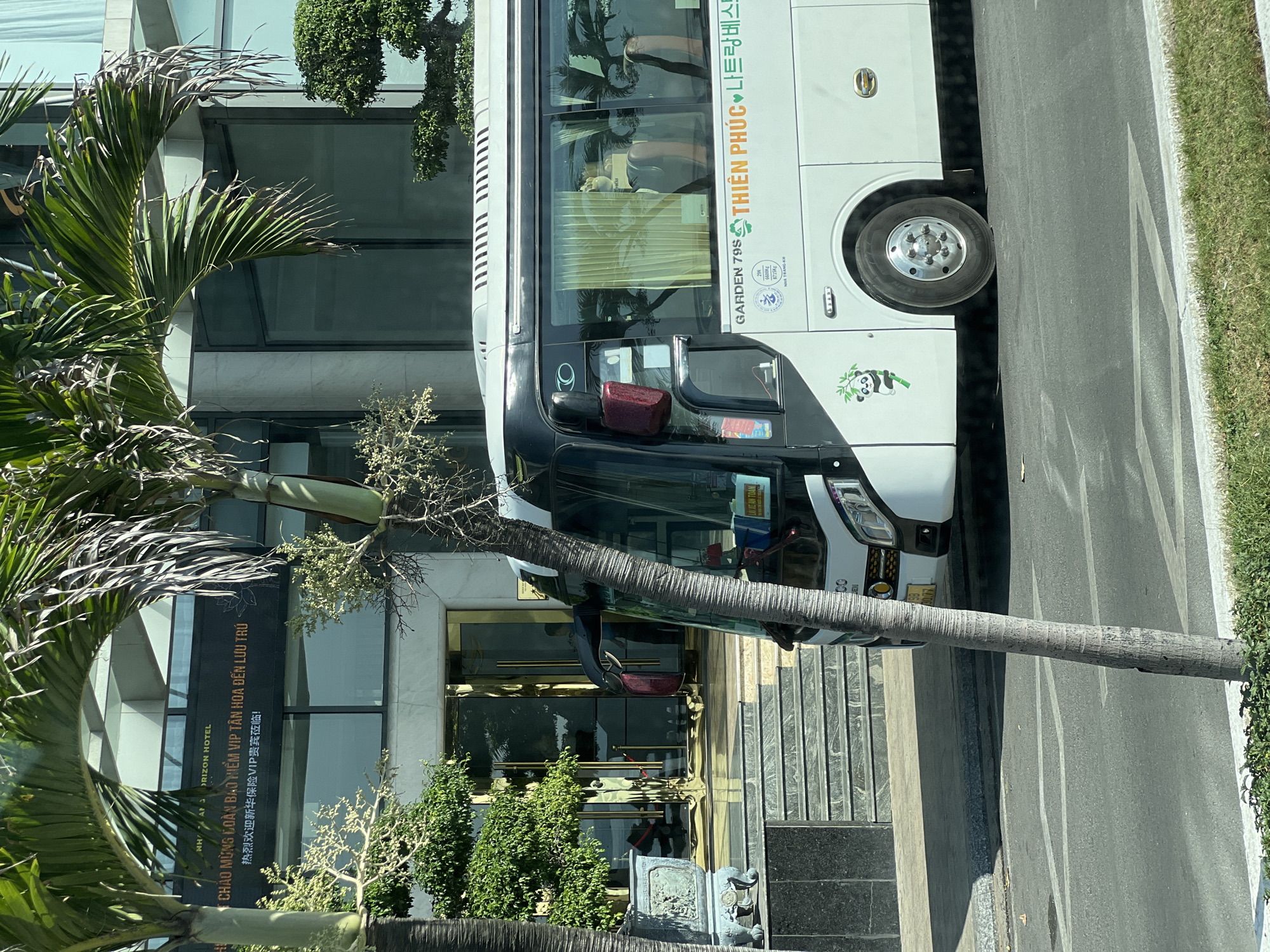 An eye-level medium shot captures the exterior of a white tour bus parked on a paved street in front of a modern building with large glass windows. Palm trees, one in the foreground, partially obscure the view. The bus features windows with yellow curtains, a panda decal, and text in Vietnamese and Korean, indicating it belongs to "GARDEN 798 THIEN PHUC". The building appears to be a hotel, with ornate gold-framed glass doors and stairs leading to the entrance. Sunlight illuminates the scene, casting shadows from the trees.