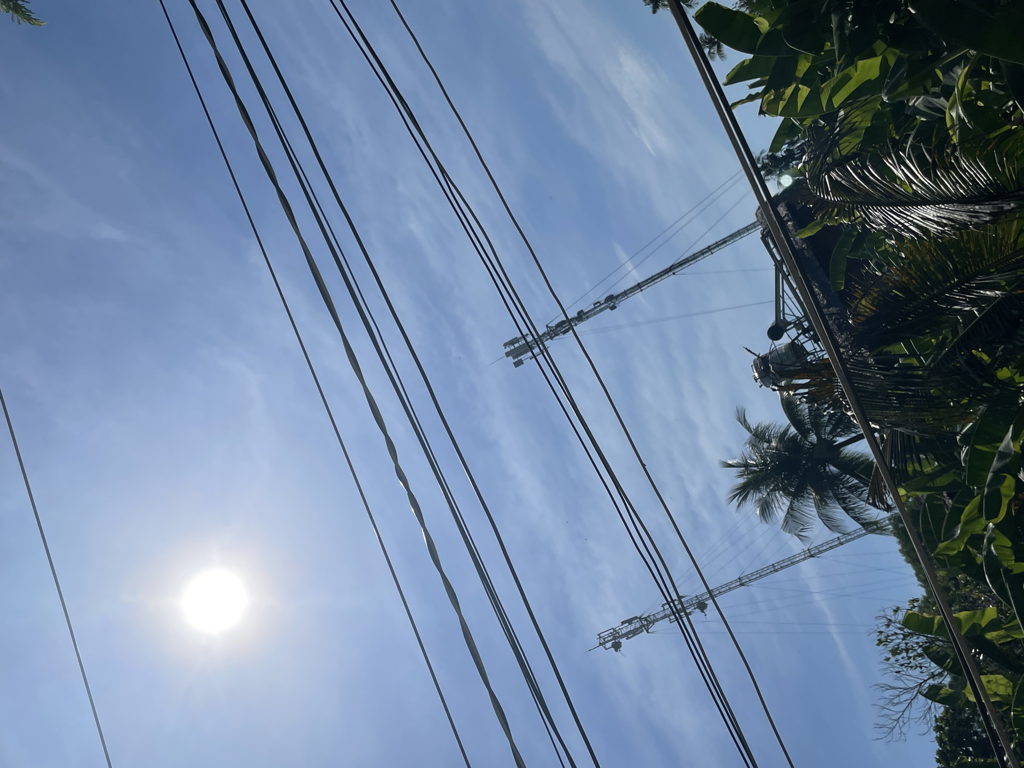 The image, taken in Phu Thuy Ward, Vietnam, captures a bright, sunny day with a clear blue sky. Several power lines are strung across the frame, running diagonally from the top left to the bottom right. In the background, two tall cell phone towers are visible, one slightly to the left and another more centrally located. The towers are skeletal structures with various antennas and equipment attached. Between the towers, a section of a building or structure with a roof is partially obscured by lush green foliage. Palm trees and other tropical vegetation dominate the foreground, creating a dense, verdant border across the bottom of the image. The sun is high in the sky, casting a bright glare and appearing as a luminous orb in the upper left quadrant of the frame. The overall scene suggests an outdoor environment, possibly in a semi-urban or rural area with abundant plant life.