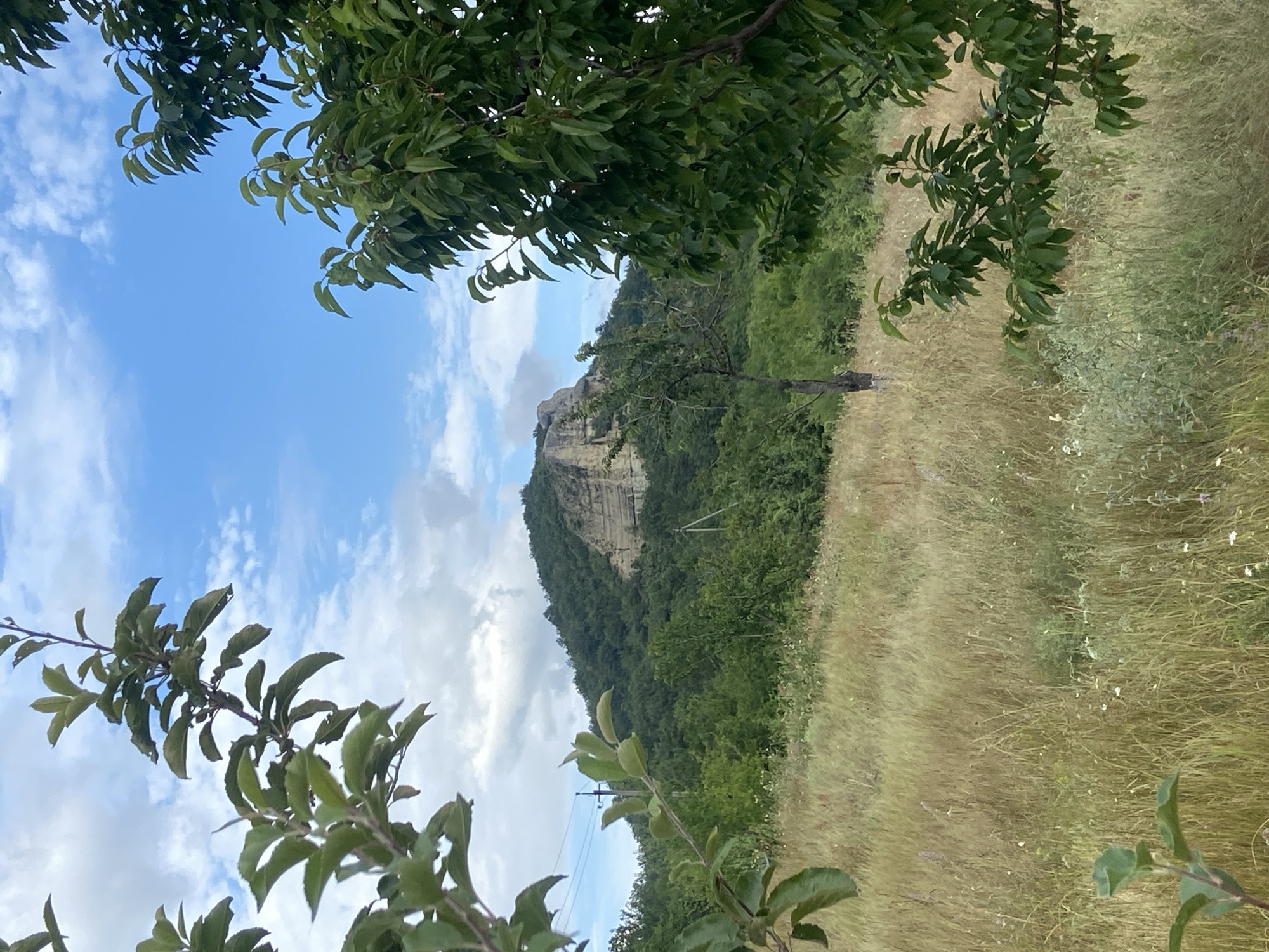 A landscape photograph depicts a rocky mountain peak partially covered in green trees, set against a blue sky with scattered white clouds. In the foreground, a field of tall, dry grass slopes upwards towards the mountain. Two trees with green leaves frame the scene on the left and right sides, partially obscuring the view of the mountain. Power lines are visible on the left side of the image, and a solitary thin tree stands in the middle ground.