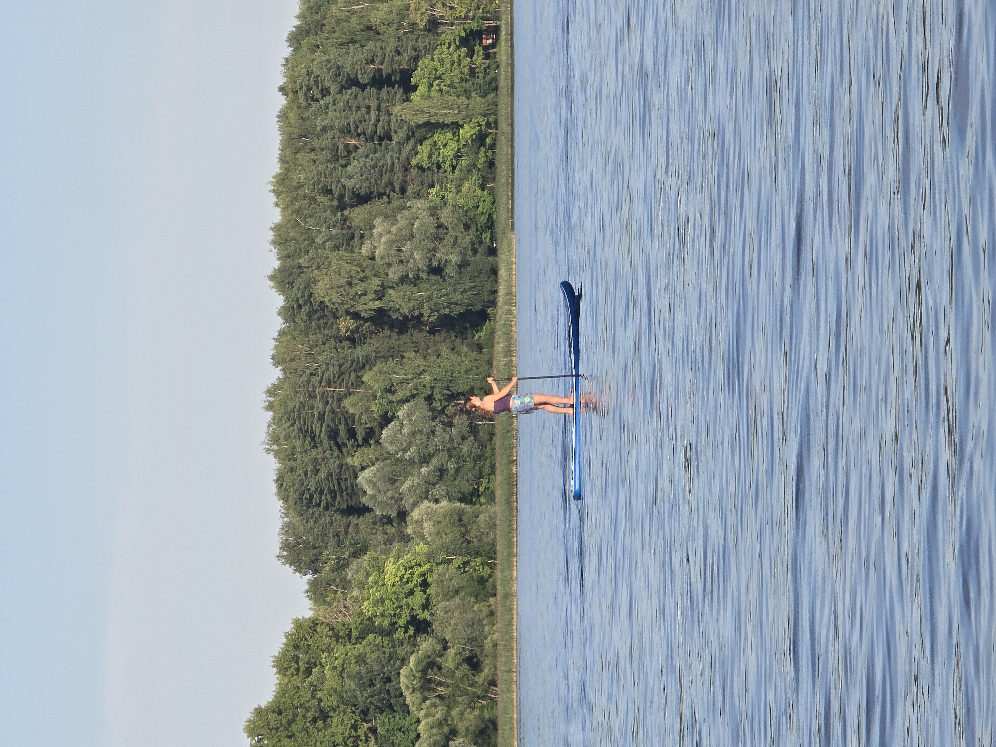 A lone person is paddleboarding on a calm lake. The person is standing on a blue paddleboard and holding a paddle. They are facing to the left of the frame. The lake is surrounded by a dense forest of green trees. The sky is a clear light blue. The image appears to be taken on a sunny day.