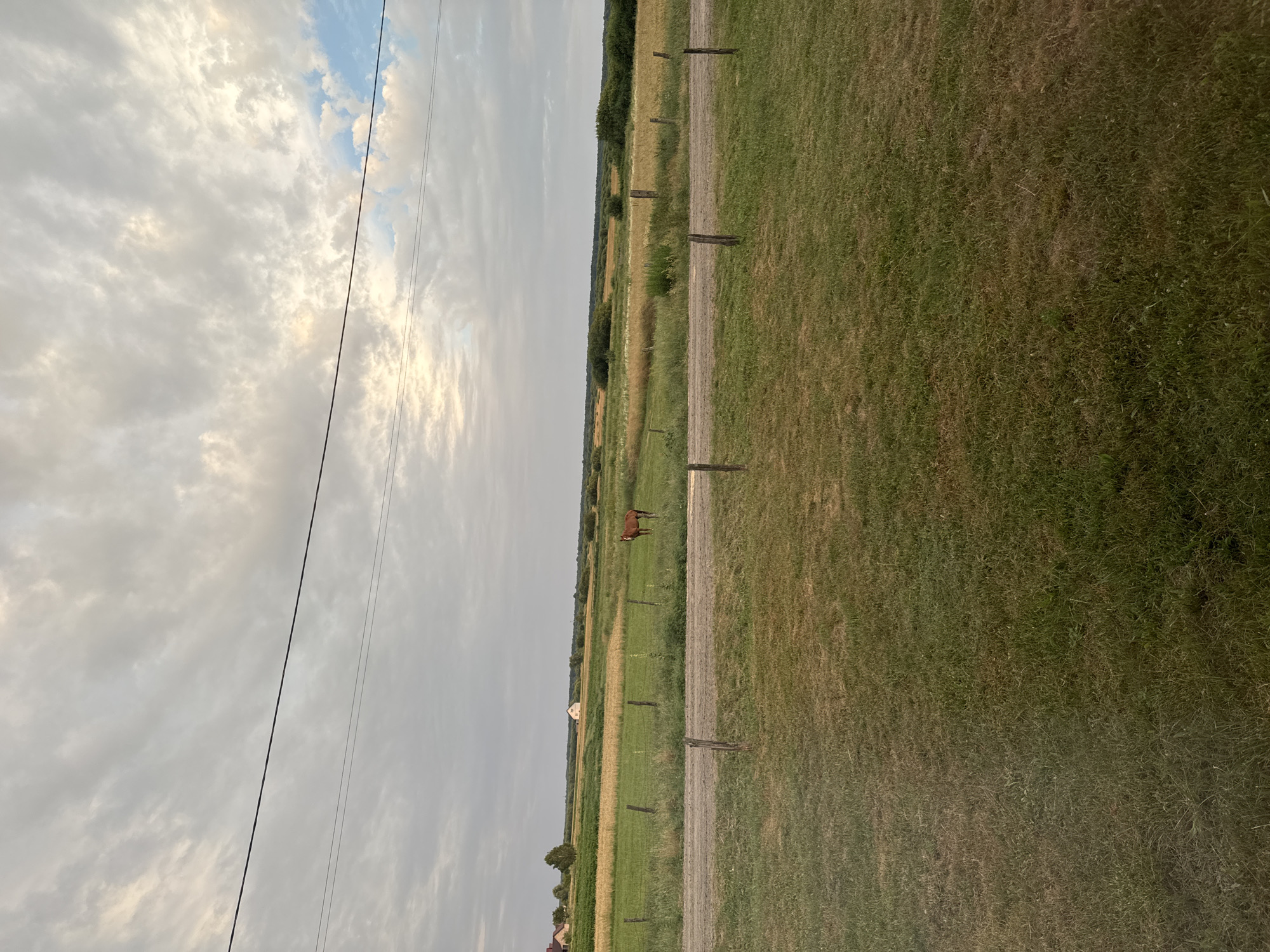 The image depicts a pastoral landscape under a cloudy sky. In the foreground, a patch of dry, yellowish-green grass is visible, transitioning into a more vibrant green lawn further back. A dirt road runs horizontally across the middle ground, bordered by a wire fence supported by wooden posts. Beyond the road, a field of green grass gives way to a field of golden crops, with a brown horse standing in the green field. In the far distance, several buildings, including what appears to be a house with a red roof and another white structure, are nestled among trees. The sky is filled with dramatic, layered clouds, with hints of blue sky peeking through. The scene is likely set in a rural area, possibly Chemerne, Ukraine, given the architectural style of the distant buildings and the agricultural landscape.