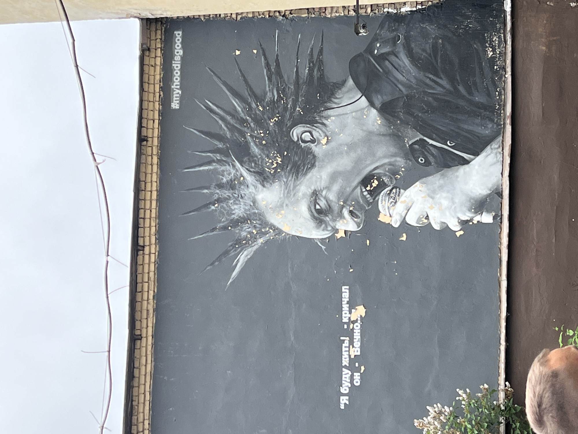 The image depicts a black and white mural on a building, possibly in Saint Petersburg, Russia, suggested by the hashtag "#myhoodisgood". The mural features a person with a punk-style hairstyle, their head tilted back, and they appear to be holding and eating something. The artwork has some gold-colored flakes scattered around the person's head and face. There's text in Russian that translates to "I will live eternally!" he cried - eternally. The mural is on an exterior wall with vegetation at the bottom right, some exterior wiring on the building to the left and some of the head of a passerby. The image appears to be a photograph taken in daylight.