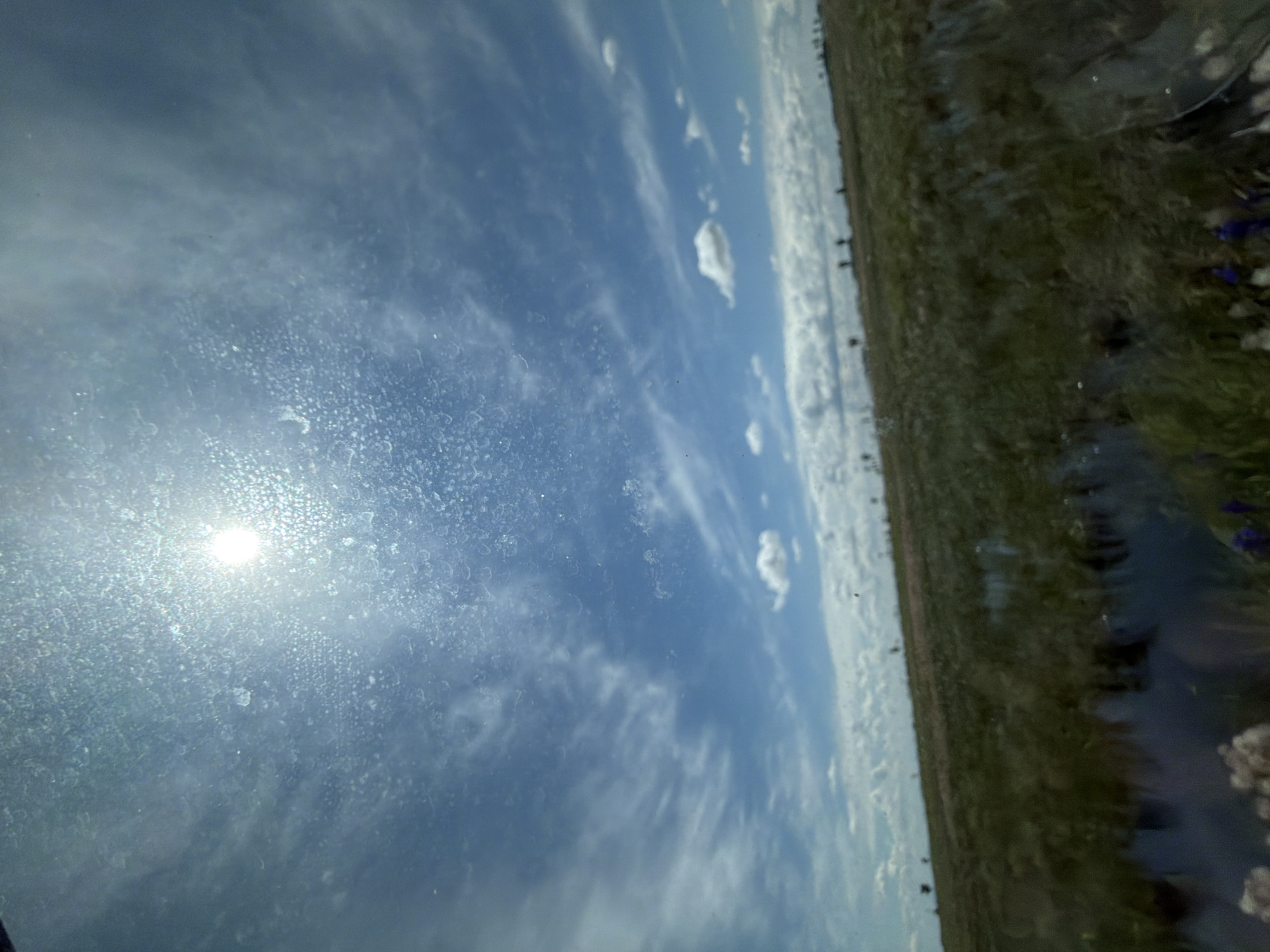 The image is a wide-angle, slightly distorted view of a wetland or marshy field under a bright, cloudy sky. The sun is visible as a brilliant, blown-out circle high in the sky, creating lens flare and a hazy, speckled effect across the upper portion of the image. Wispy cirrus clouds are scattered across the blue sky, with a few small cumulus clouds also present.
The ground in the foreground and mid-ground is covered in tall, dry grass and vegetation, with patches of standing water reflecting the sky. In the distance, the terrain appears to be gently sloping upwards, with more vegetation and a blurred line of trees or bushes on the horizon. The overall impression is one of a natural, undeveloped landscape. The image appears to be taken through a dirty or smudged surface, possibly a window, as indicated by the numerous circular water spots or smudges.
Based on the provided information, the location is the city of Smidovich, Russia. However, the image itself does not contain any specific visual cues that would confirm or deny this location. It depicts a generic natural scene of a marshy field.