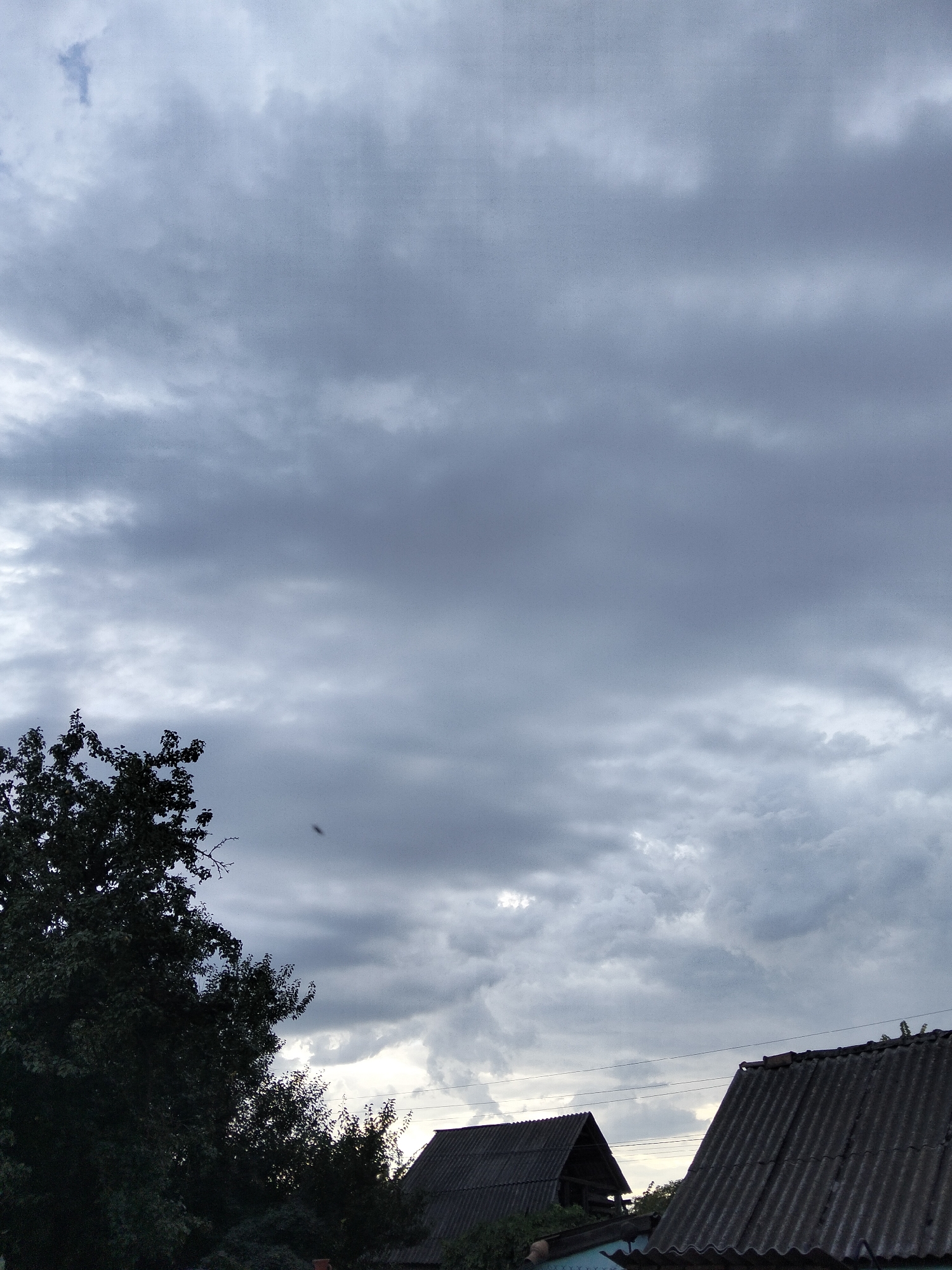 In Ustyvytsia, Ukraine, this overcast sky is filled with dramatic, grey clouds. A dark-leafed tree stands on the left, its branches silhouetted against the turbulent sky. In the foreground, the corrugated tin roofs of two houses are visible, hinting at a rural or suburban setting. Power lines stretch horizontally across the frame, bisecting the sky and the landscape. The overall impression is one of impending weather, with the clouds suggesting a storm or a change in the day's conditions.