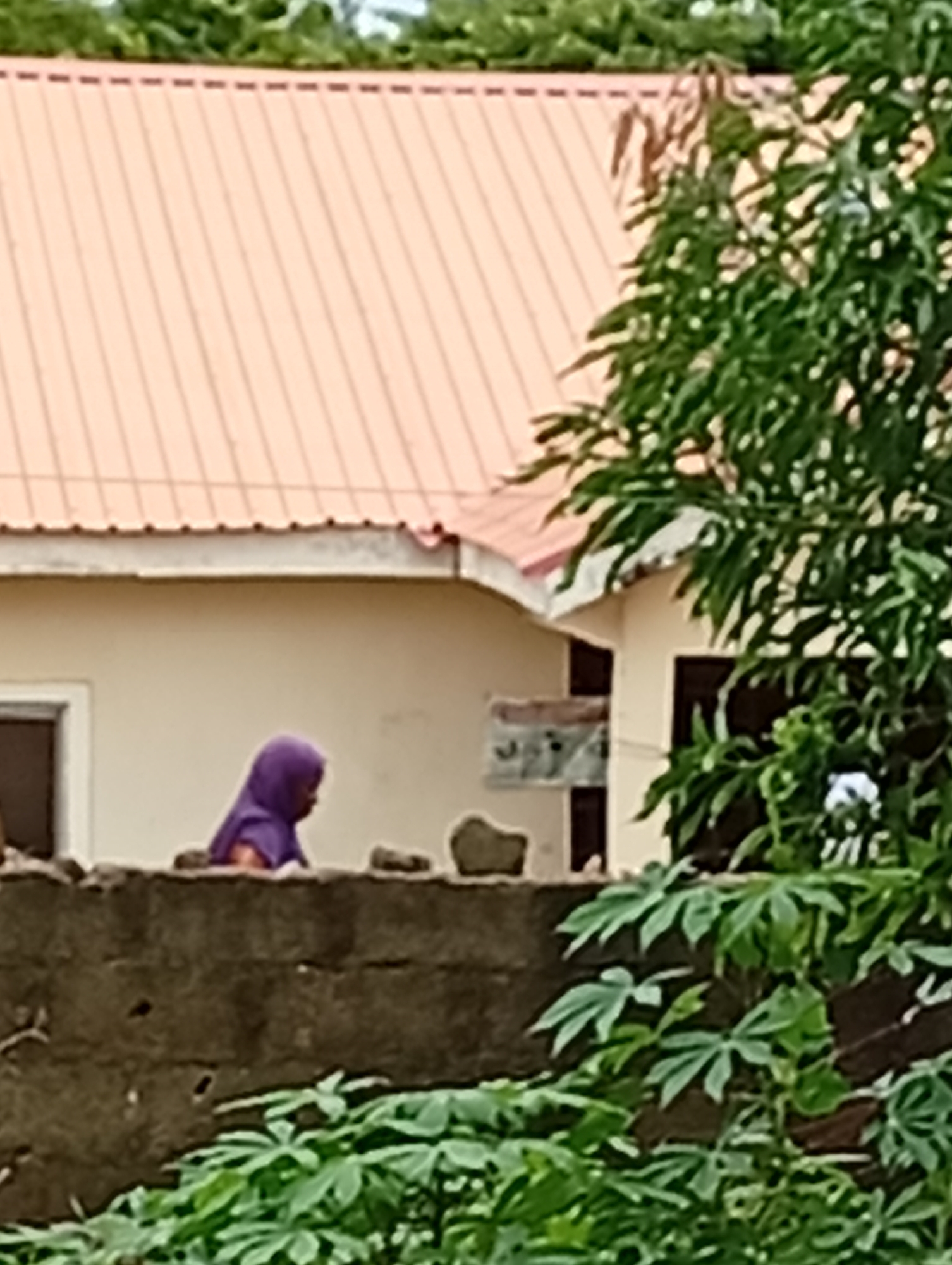 The image shows a woman in a purple headscarf standing behind a concrete wall, with a light-colored building in the background featuring a peach-colored roof. A tree with green leaves is prominent on the right side of the frame. The location is Unknown, Unknown.