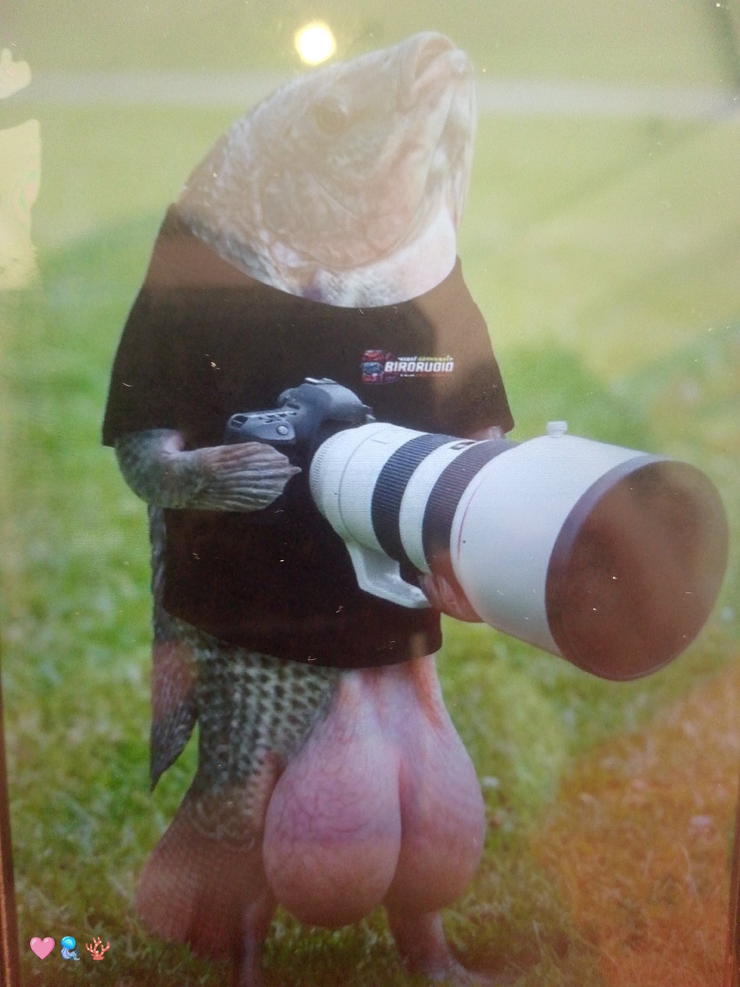 A photoshopped image shows a fish standing upright on a grassy surface. The fish has a human-like posture and is wearing a black t-shirt with the logo "BIRDAUDIO" on it. The fish is holding a camera with a large telephoto lens. The lower part of the fish's body is depicted as two large, bulbous sacs. The setting appears to be outdoors, with green grass visible in the background. There is no indication of the location being Pedro González, Venezuela.