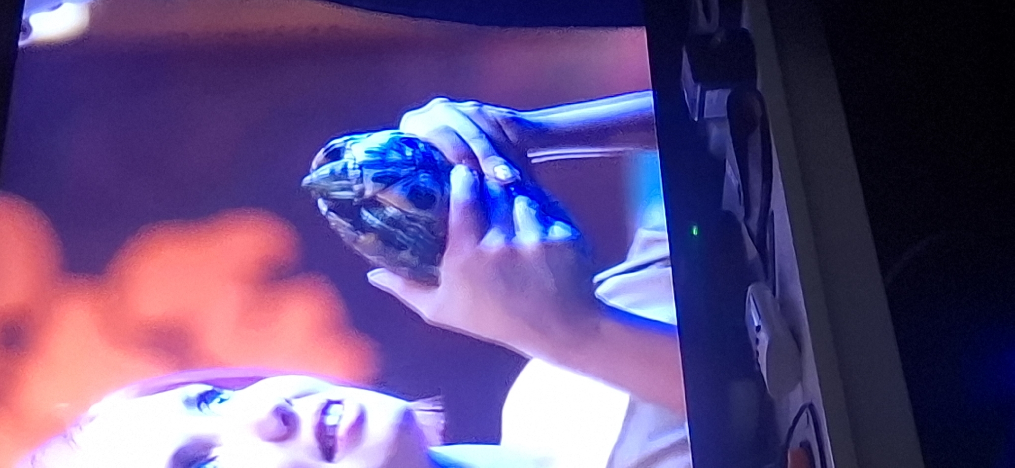 The image shows a close-up of a person's hands holding a small, dark, rounded object with a textured surface, possibly a turtle or a rock. The person's face is partially visible on the left side of the frame, with bright blue eyes and teeth visible as they smile. The lighting is predominantly blue and purple, with some orange hues in the background, suggesting an indoor setting with artificial lighting. The background is blurred and abstract. The lower part of the image shows a dark surface with some electronic devices, including a remote control. No specific location in Yerocham, Israel, can be identified from the image.