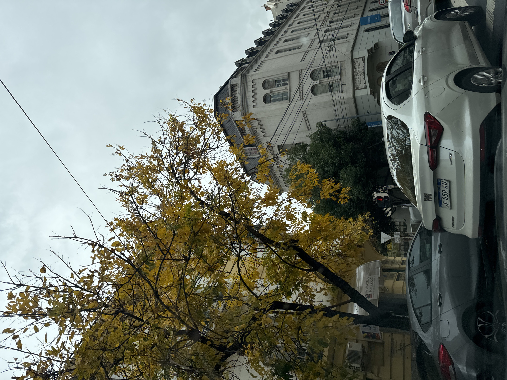 The image depicts a street scene in Buenos Aires, Argentina, likely in the Palermo neighborhood. An autumn tree with yellow foliage is in the foreground. A light gray building with ornate facade details is situated in the background. Parked cars line the street. A white car with license plate AF 059 AU is visible. The sky is overcast. A sign reading "PEDIATRIA PALERMO" is partially visible.