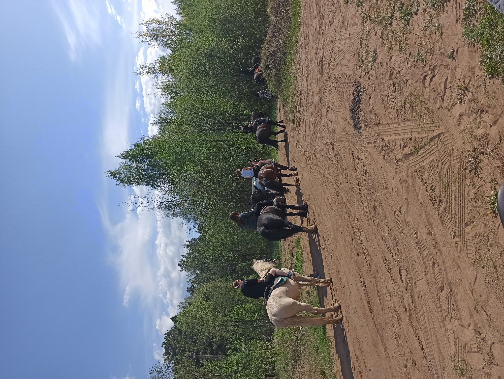 The image depicts a group of people horseback riding on a dirt path that runs parallel to a forest. The path is visibly marked with tire tracks and vegetation. A blue sky with scattered clouds is overhead. The location is in an unknown city and state.