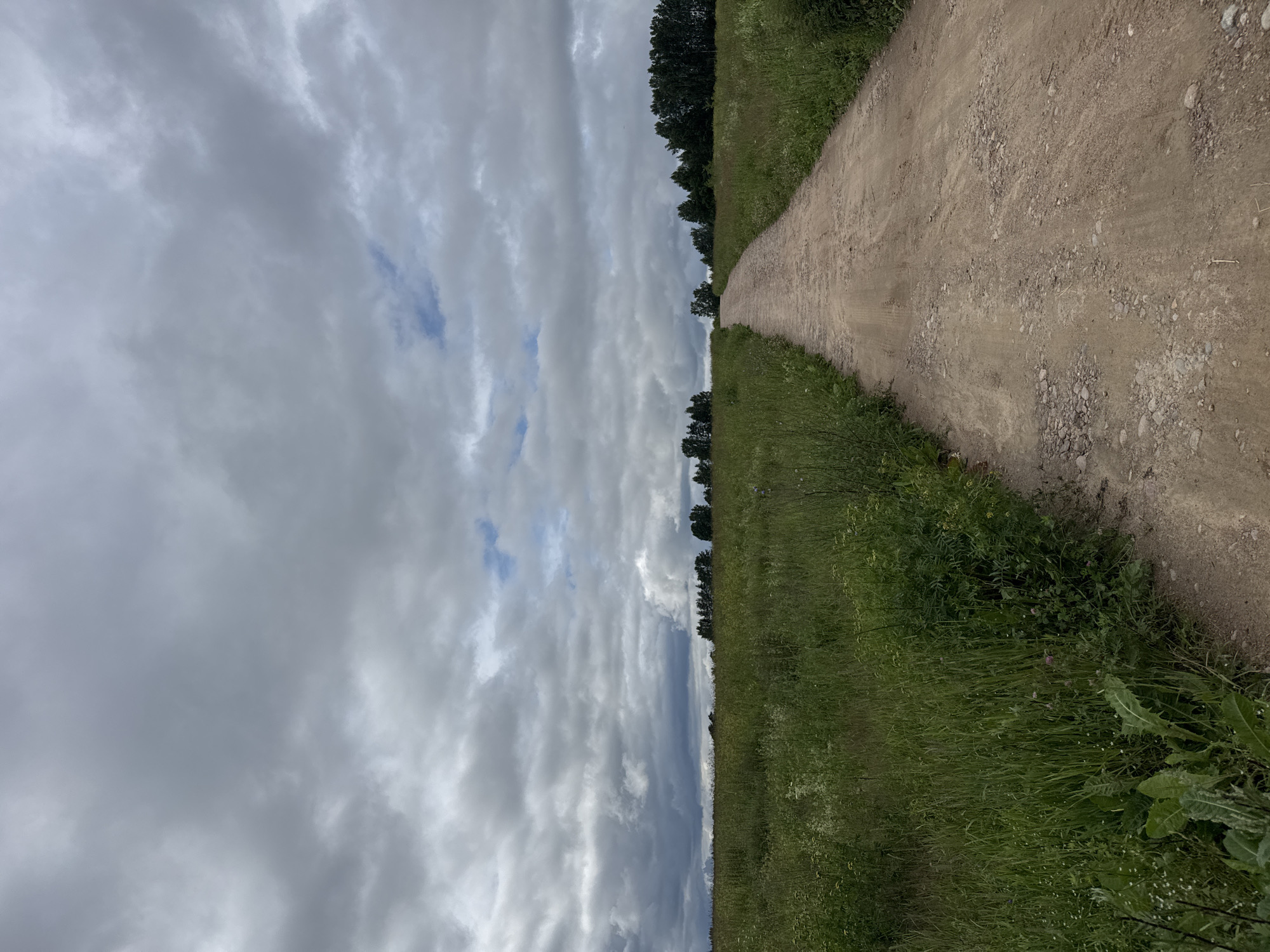 An eye-level, wide shot shows a dirt road curving through a grassy field under a cloudy sky. The road is made of gravel and dirt, with some ruts and potholes visible. The field is filled with tall grass and wildflowers. In the distance, a line of trees marks the horizon. The sky is filled with dramatic, dark clouds, with a few patches of blue sky visible. The scene appears to be a rural landscape in Mars, Russia.