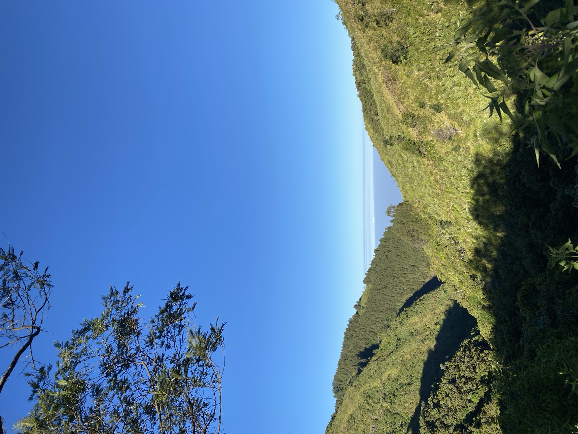 The image shows a lush, green mountainous landscape under a clear blue sky. In the foreground, the branches of a leafy tree extend from the upper left corner, casting shadows on the terrain below. The middle ground features steep, verdant hillsides covered in dense vegetation and trees, with deep shadows indicating the contours of the valleys. In the distance, a hazy horizon suggests a body of water or mist, with a faint line of what appears to be a ship or structure visible at the far right edge of the horizon. The scene depicts a natural, undeveloped environment. This location is identified as Gondosuli, Indonesia. There are no people, animals, or specific objects of human construction visible in the image, apart from the distant element on the horizon.