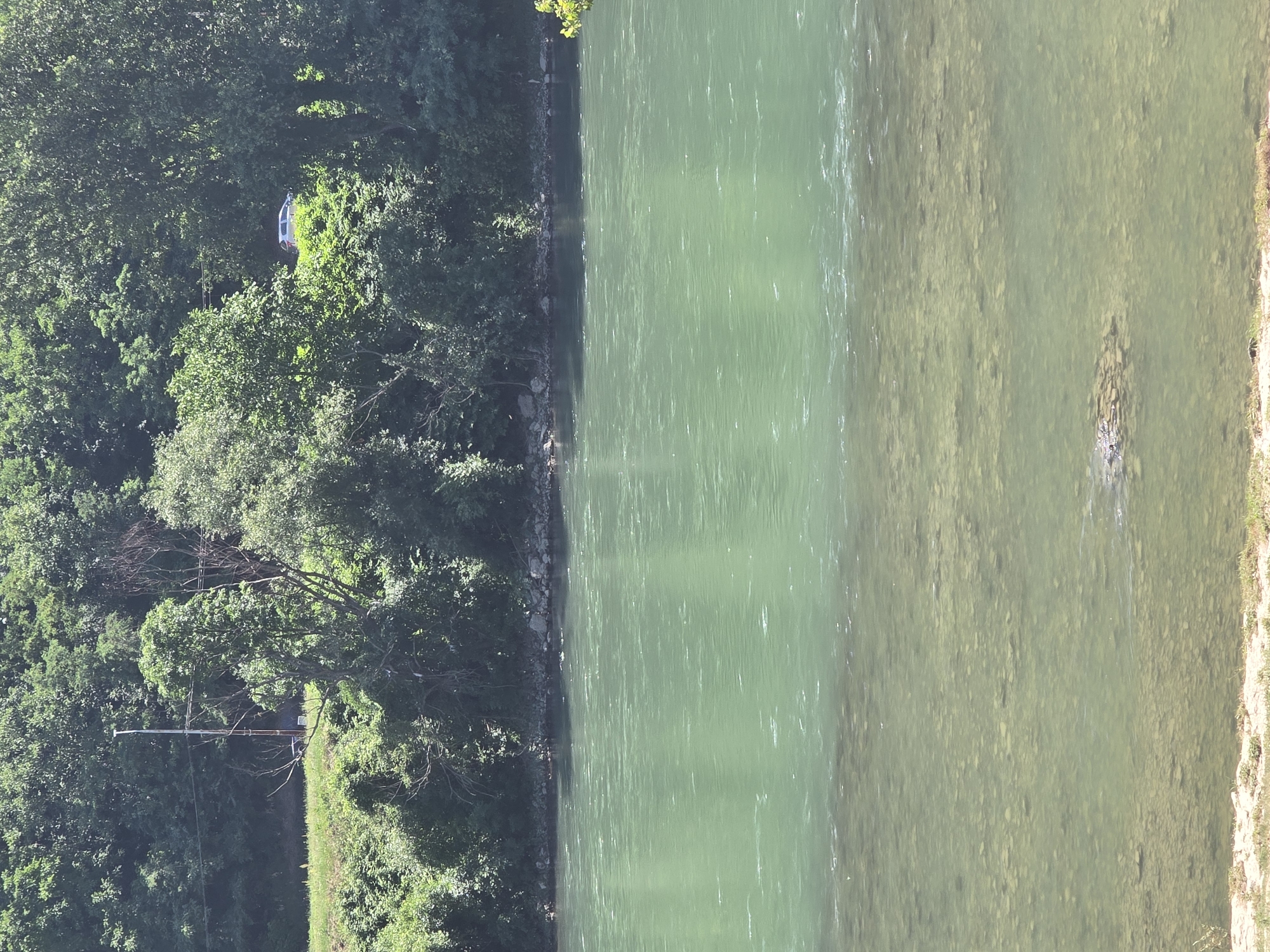 The image shows a wide, turquoise river with a visible riverbed in the foreground, indicating shallow water. The river is bordered by a dense, green forest that covers the hillside on the opposite bank. A single white car is parked among the trees on the upper bank. A utility pole with wires is also visible on the left side of the upper bank. The scene appears to be a natural landscape, likely in the Zvornik area, characterized by lush vegetation and the flowing river.