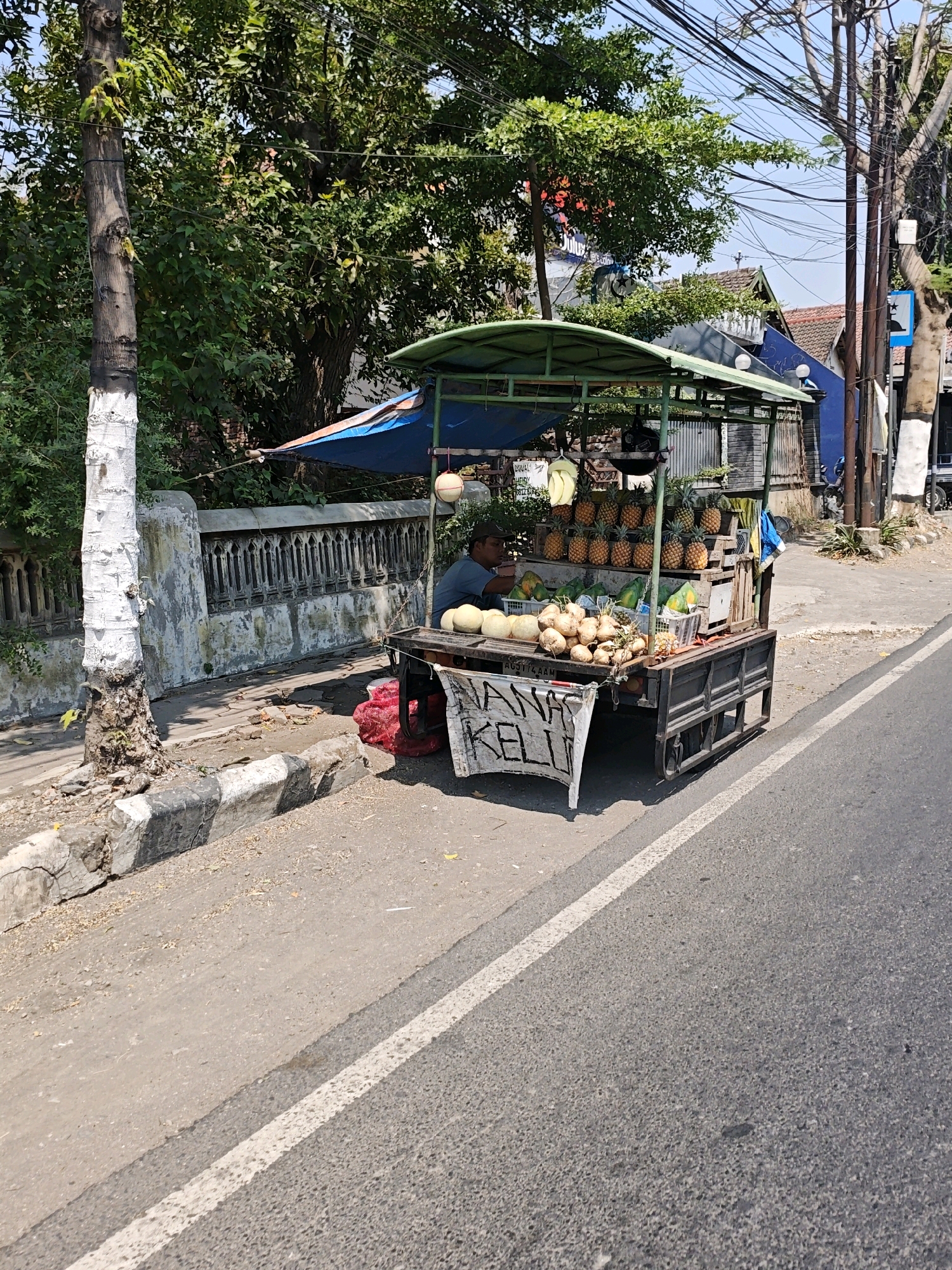 An outdoor scene in Kediri City, Indonesia depicts a fruit stand beside a paved road. The stand, a mobile cart with a green awning, is laden with a variety of fruits, including pineapples, melons, papayas, and what appear to be coconuts. A vendor, a man wearing a dark cap and a blue shirt, sits behind the fruit display, partially obscured by the cart. He is seated and appears to be attending to the fruit. The cart is positioned on the edge of the road, with a sidewalk and a decorative stone wall behind it. Lush green trees and foliage form a backdrop to the scene, and power lines are visible overhead. The area appears to be a street in a moderately urban or suburban setting. The ground is paved, and there is a white line marking the edge of the road. The overall lighting suggests it is daytime, likely sunny, given the shadows.